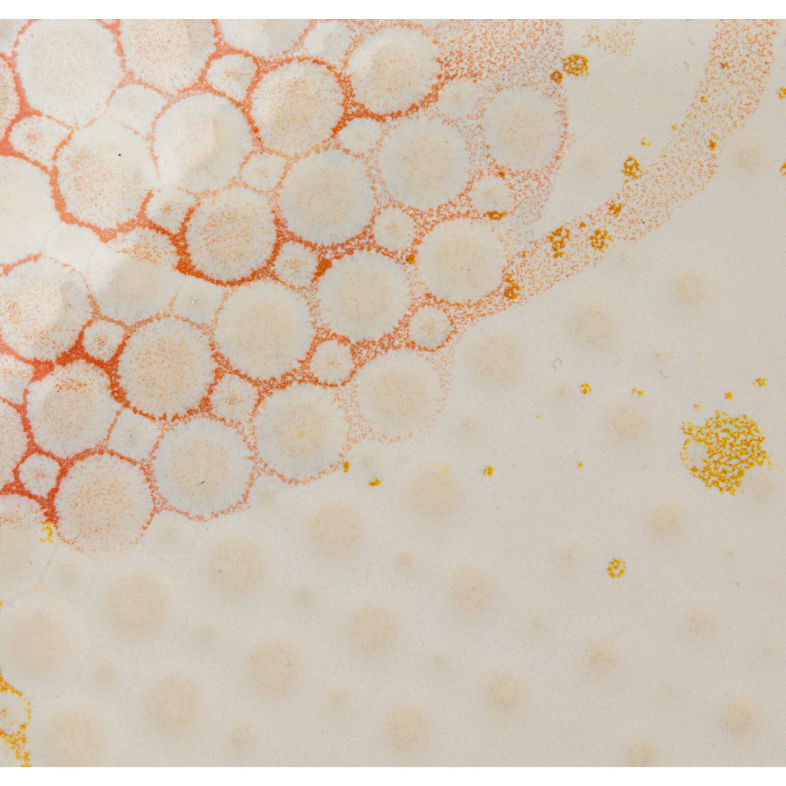 Hello Honey&#xAE; 8.5&#x22; Abstract Elegance Stoneware Plate Set