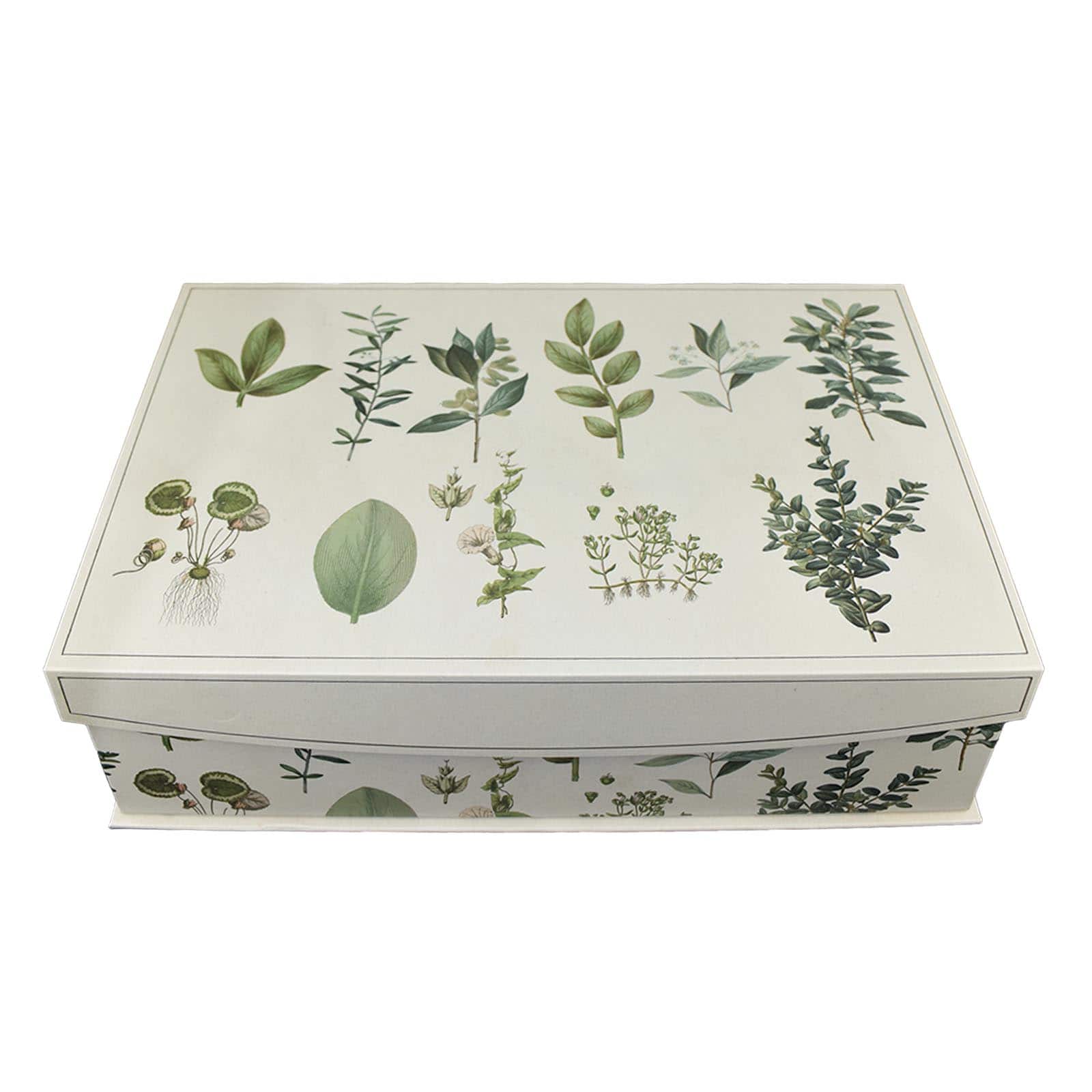 Medium Large Dark Green Leaf Decorative Box with Lid by Ashland&#xAE;