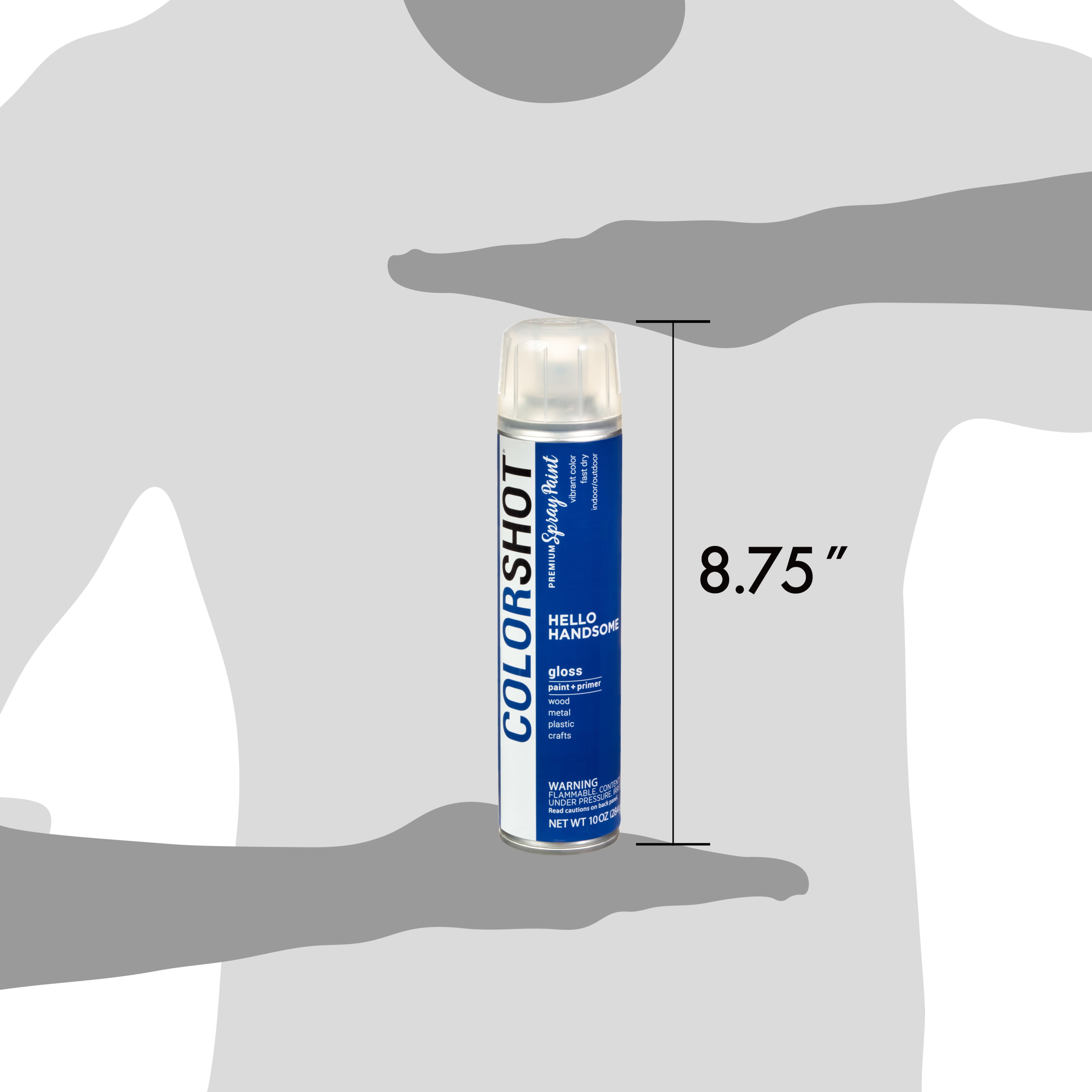 COLORSHOT&#xAE; Premium Gloss Spray Paint