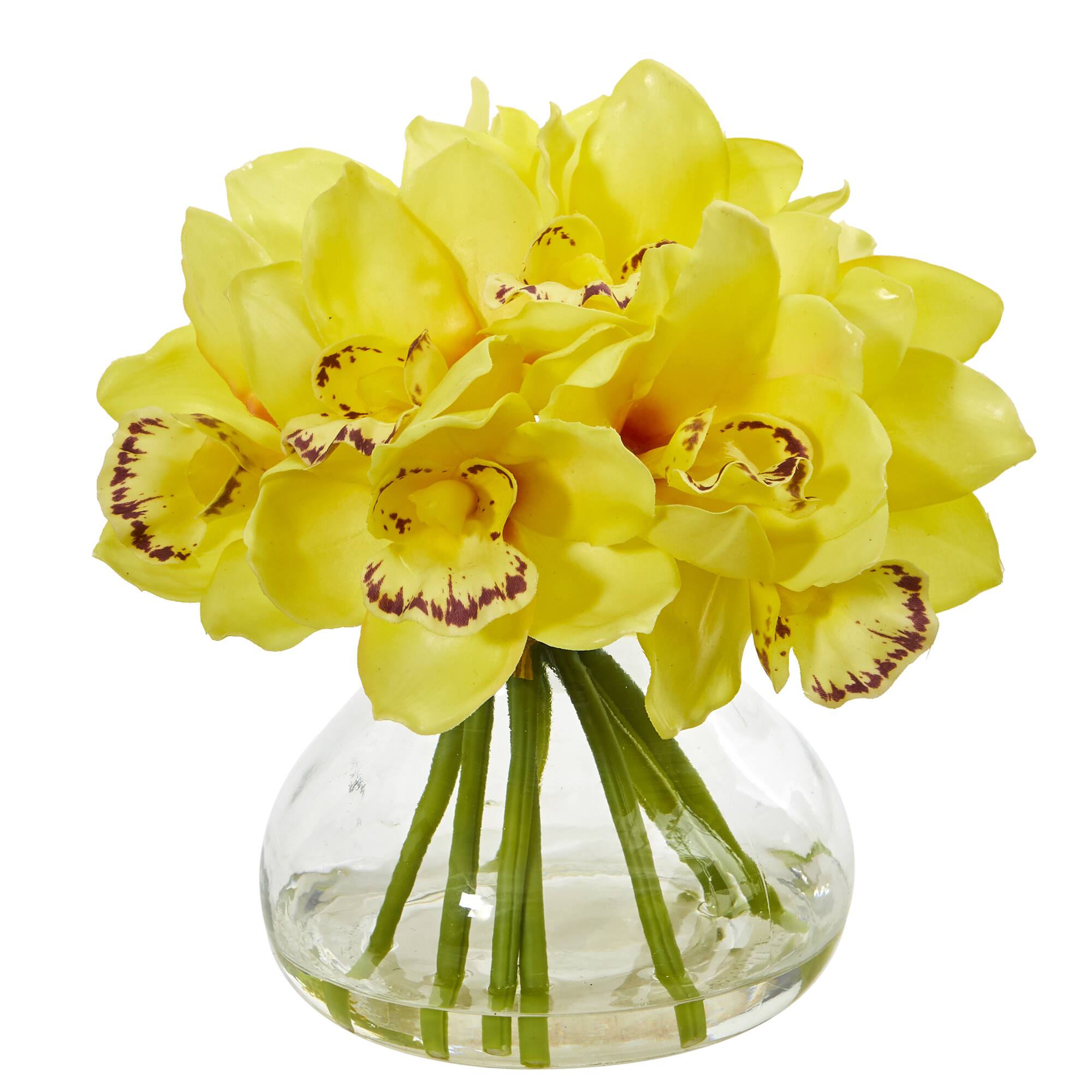8&#x27;&#x27; Yellow Cymbidium Orchid Arrangement in Glass Vase