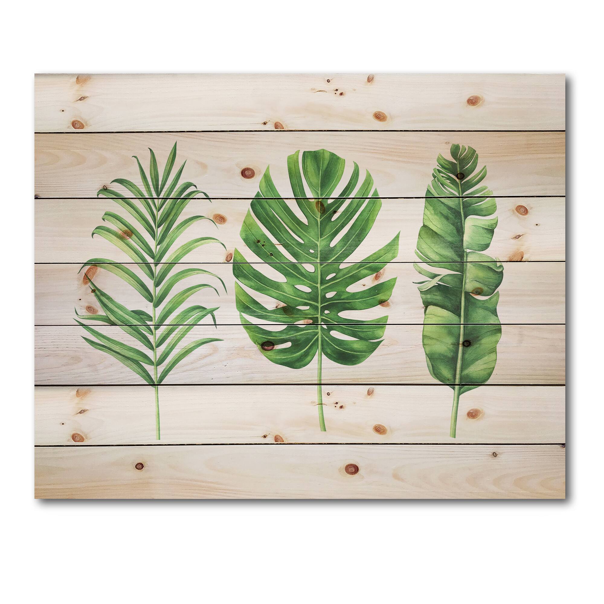 Designart - Tropical Leaf Of Monstera IV - Farmhouse Print on Natural Pine Wood