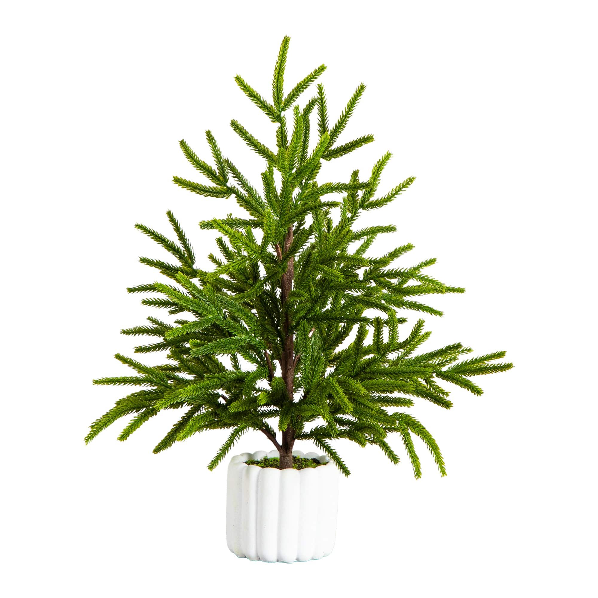 22" Unlit Real Touch Norfolk Island Pine Artificial Christmas Tree in White Decorative Planter