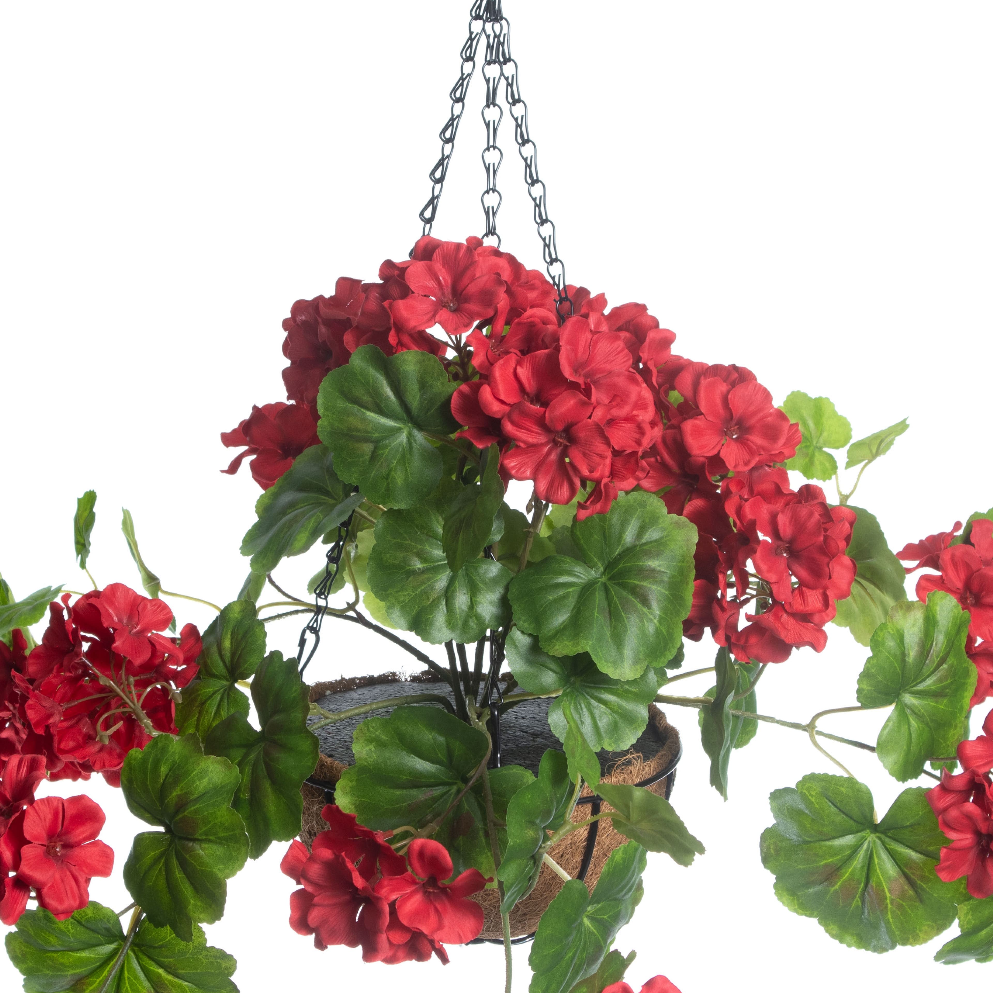 2.25ft. Red Geranium in Hanging Basket by Ashland&#xAE;