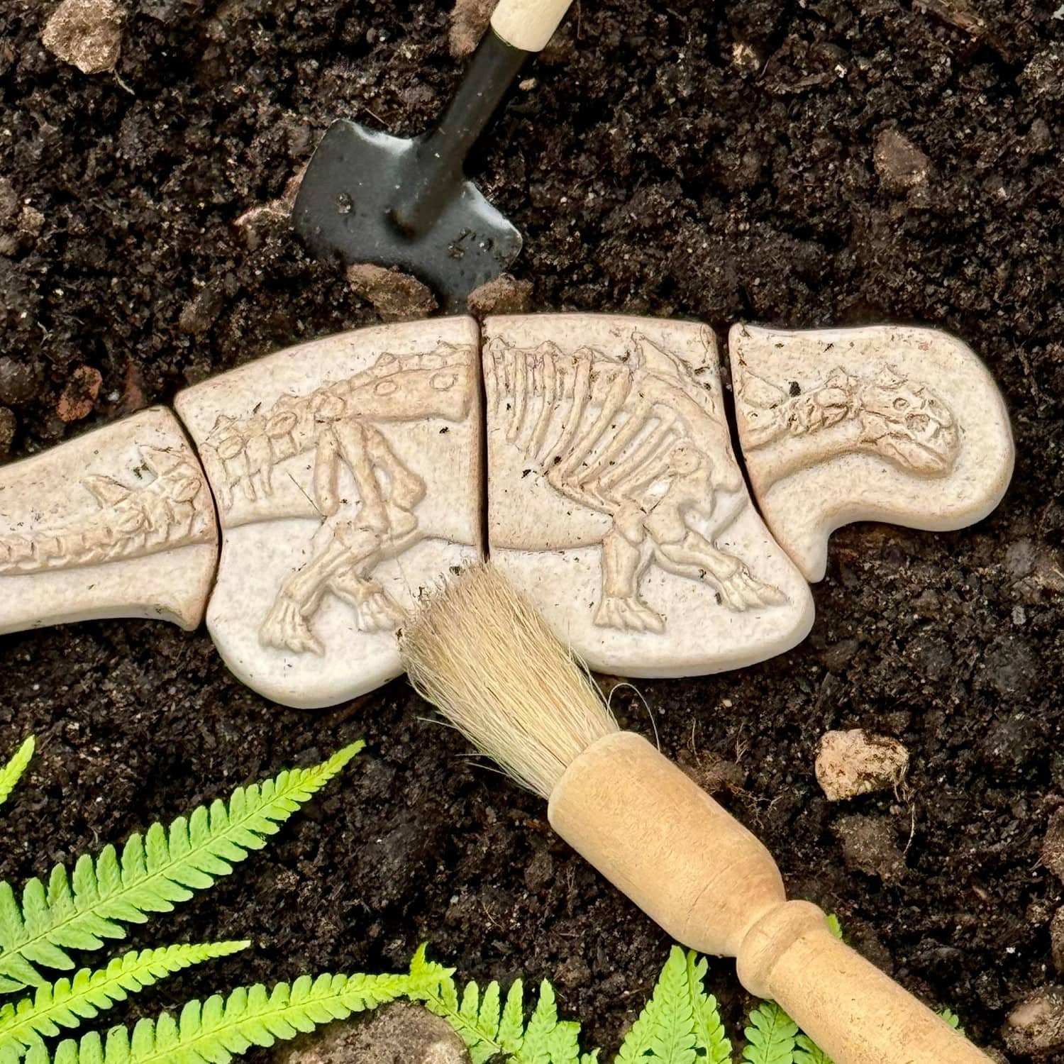 Yellow Door Dig & Discover Dinosaur Skeletons Set