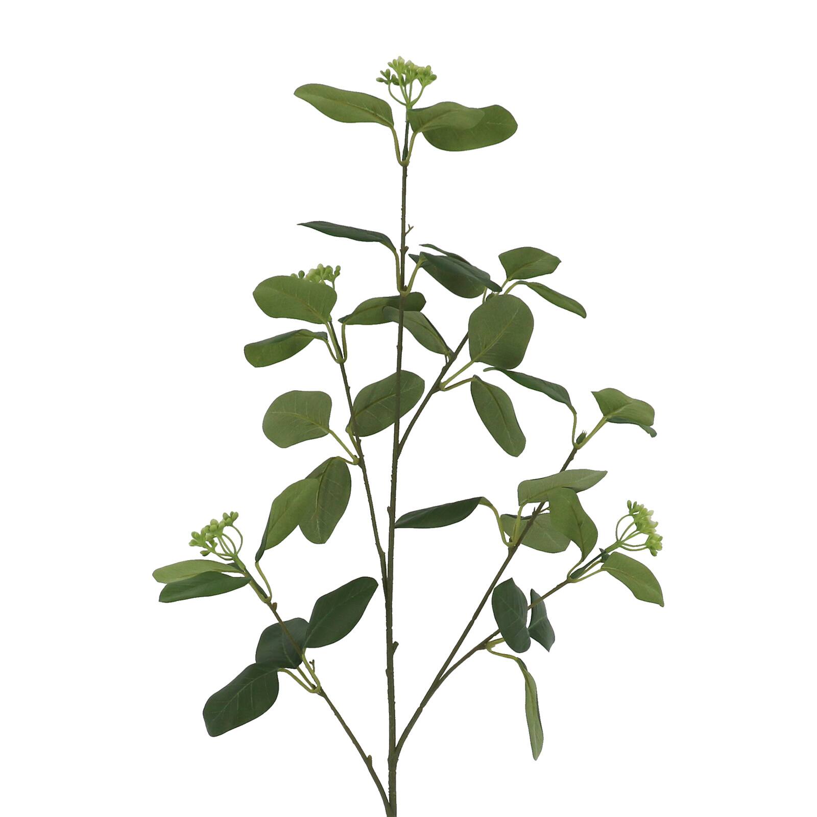 6 Pack: 37" Seeded Eucalyptus Stem by Ashland®