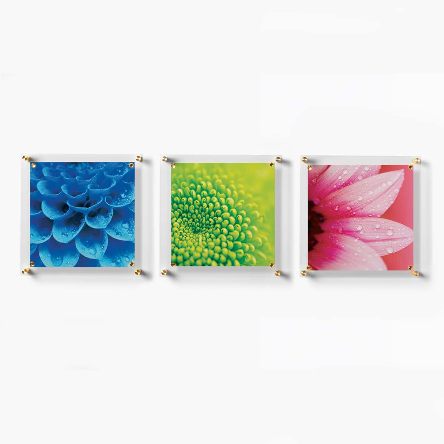 Wexel Art 3 Pack 12" x 12" Clear Single Panel Acrylic Floating Wall Frames & Magnets