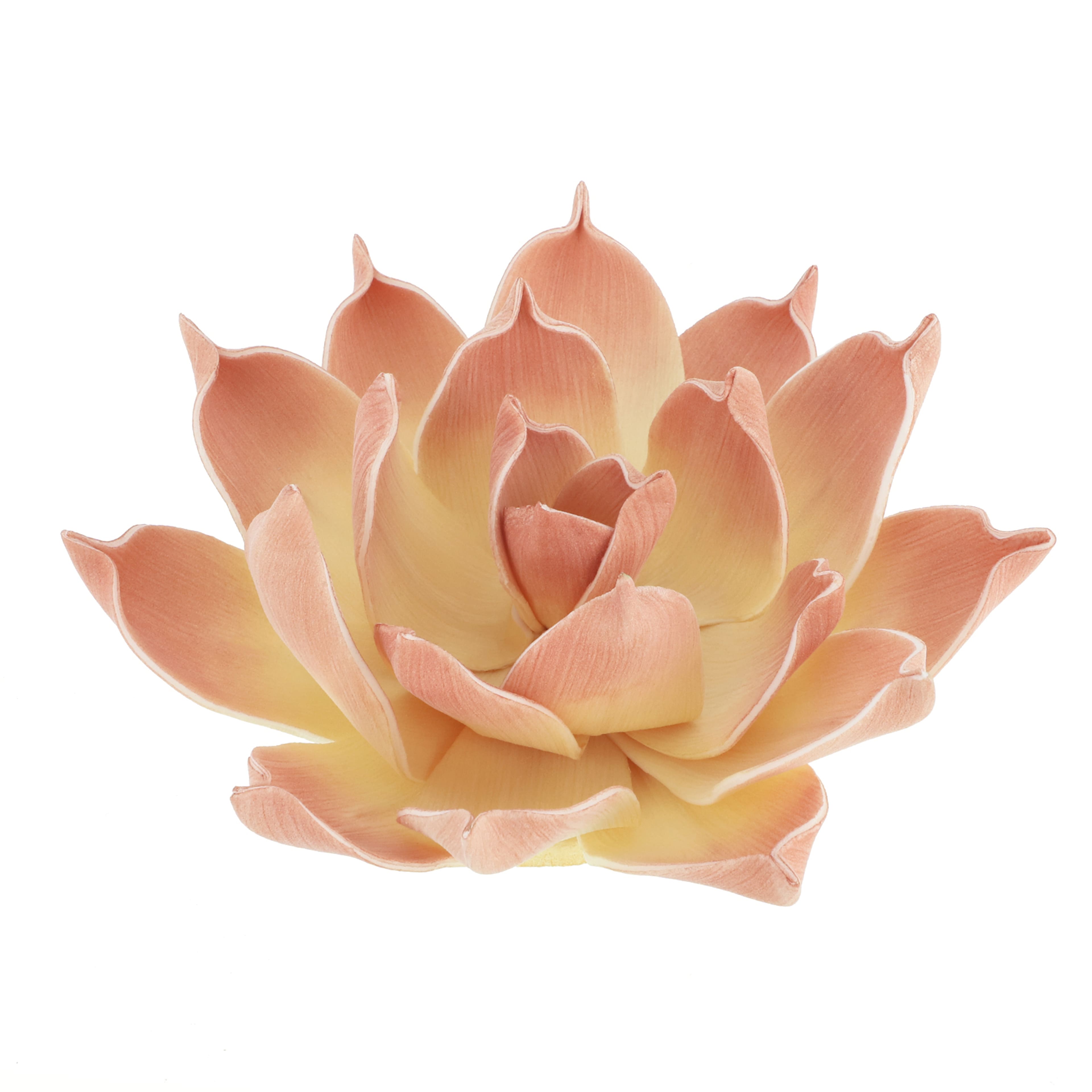 7&#x22; Peach Decorative Succulent by Ashland&#xAE;