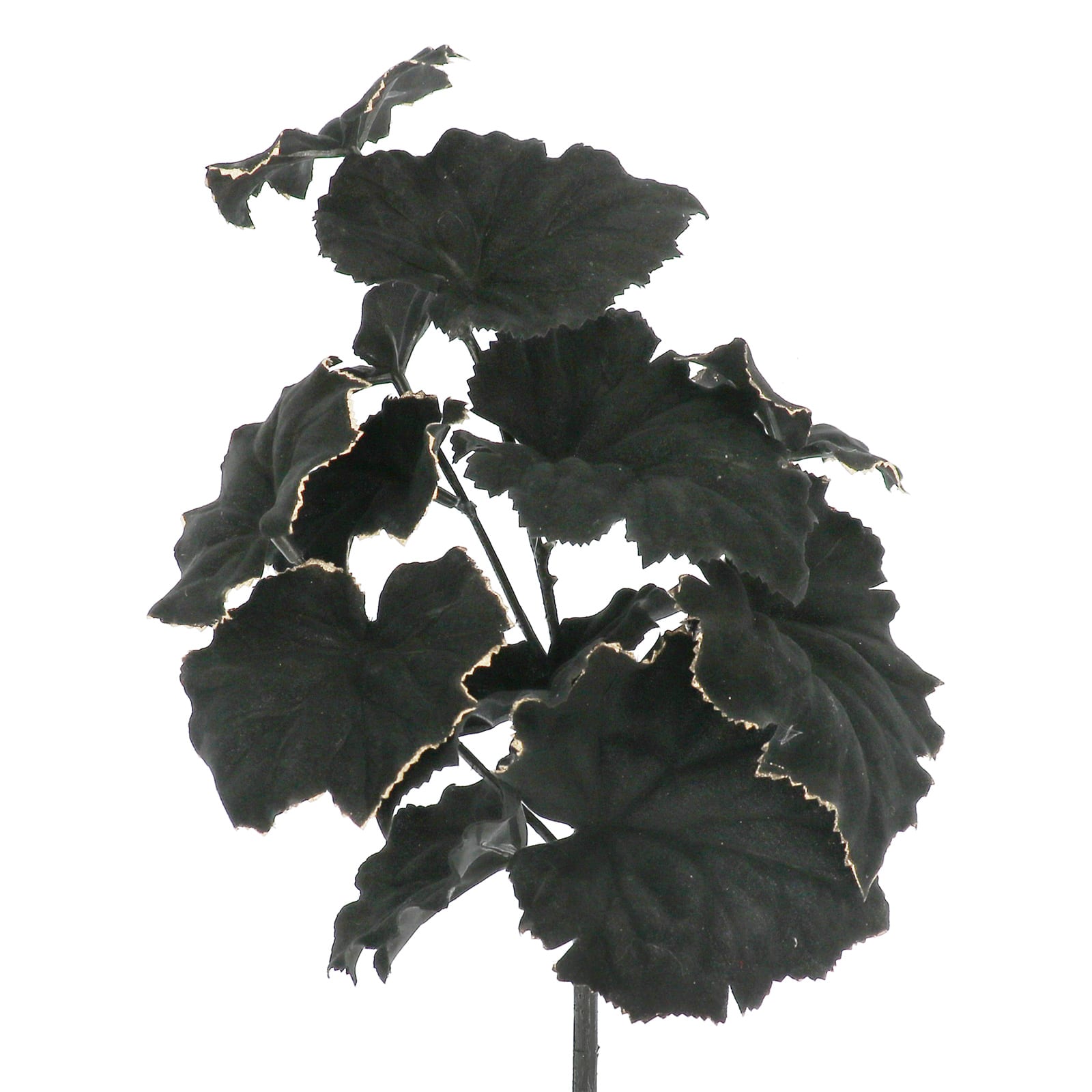 14&#x22; Begonia Leaf Pick by Ashland&#xAE;