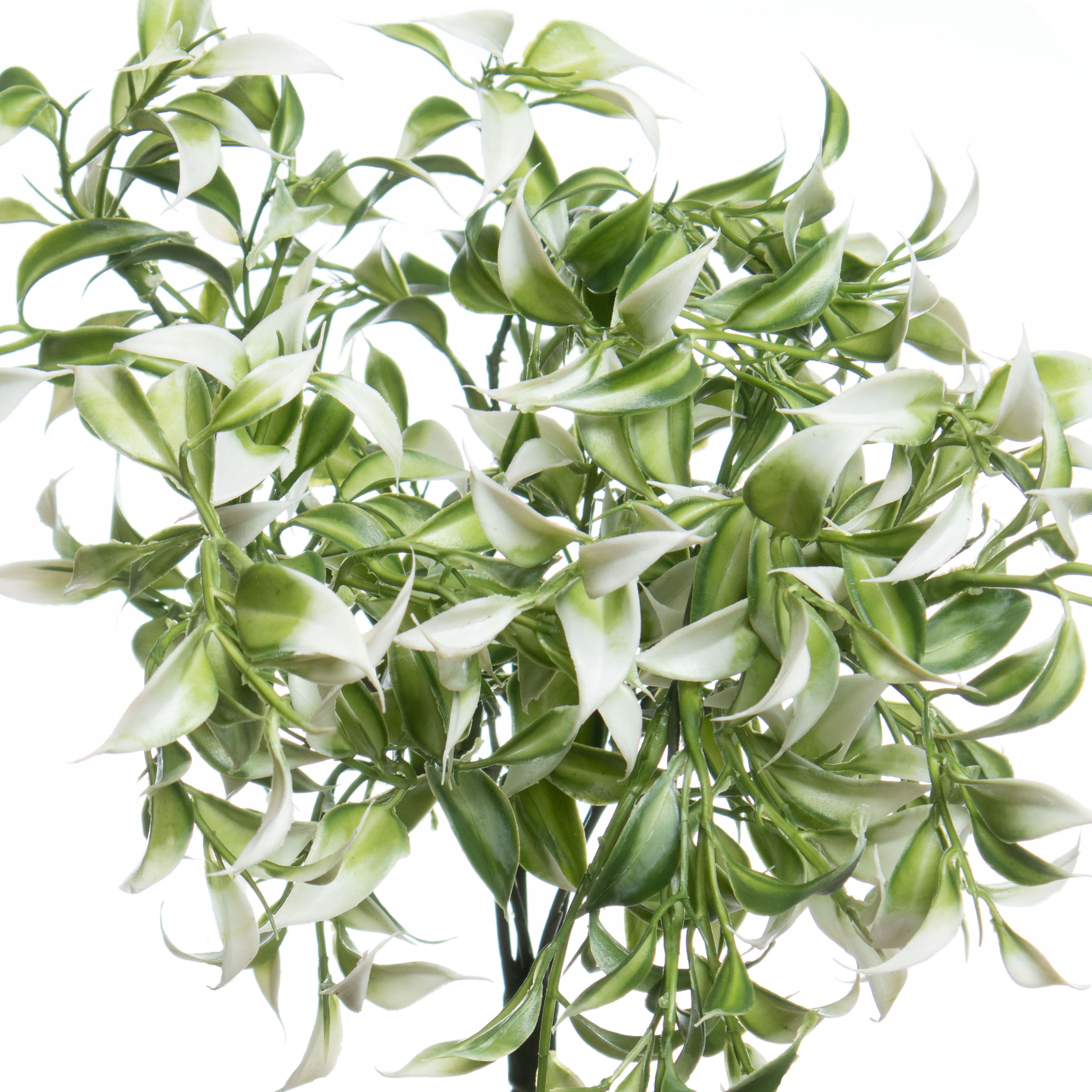 13&#x22; White Ruscus Bush by Ashland&#xAE;