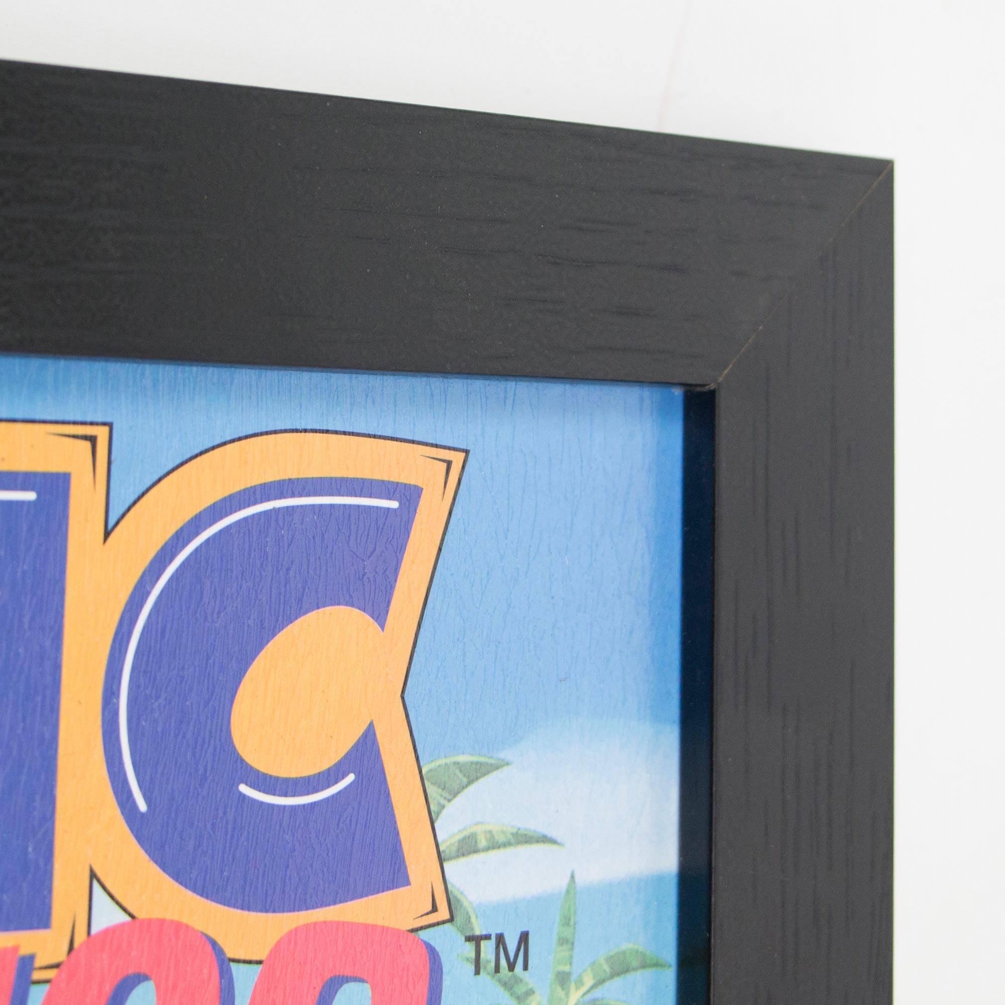 Sonic the Hedgehog&#x2122; Vintage Video Game Framed Wall Art