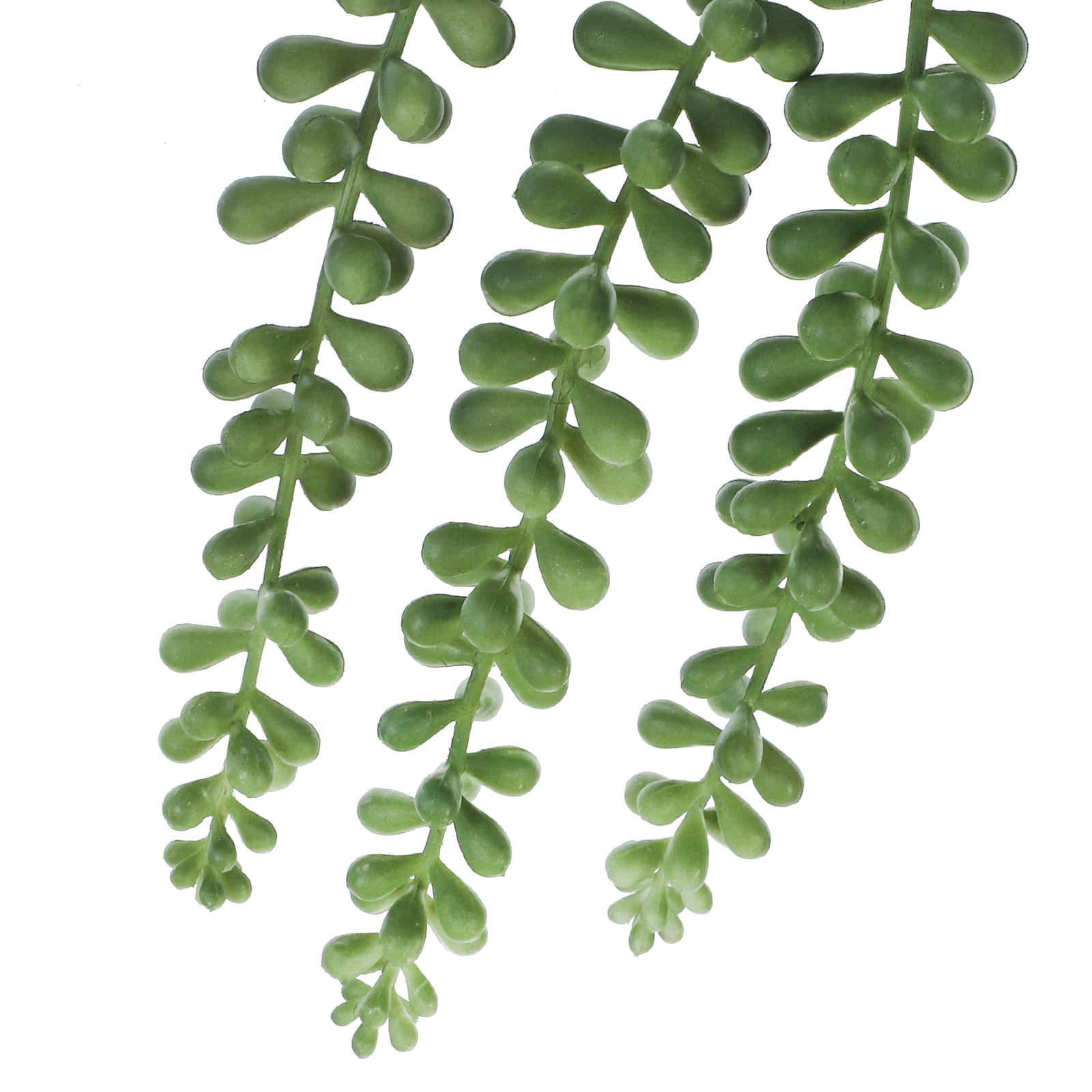Green String of Pearls Pick by Ashland&#xAE;