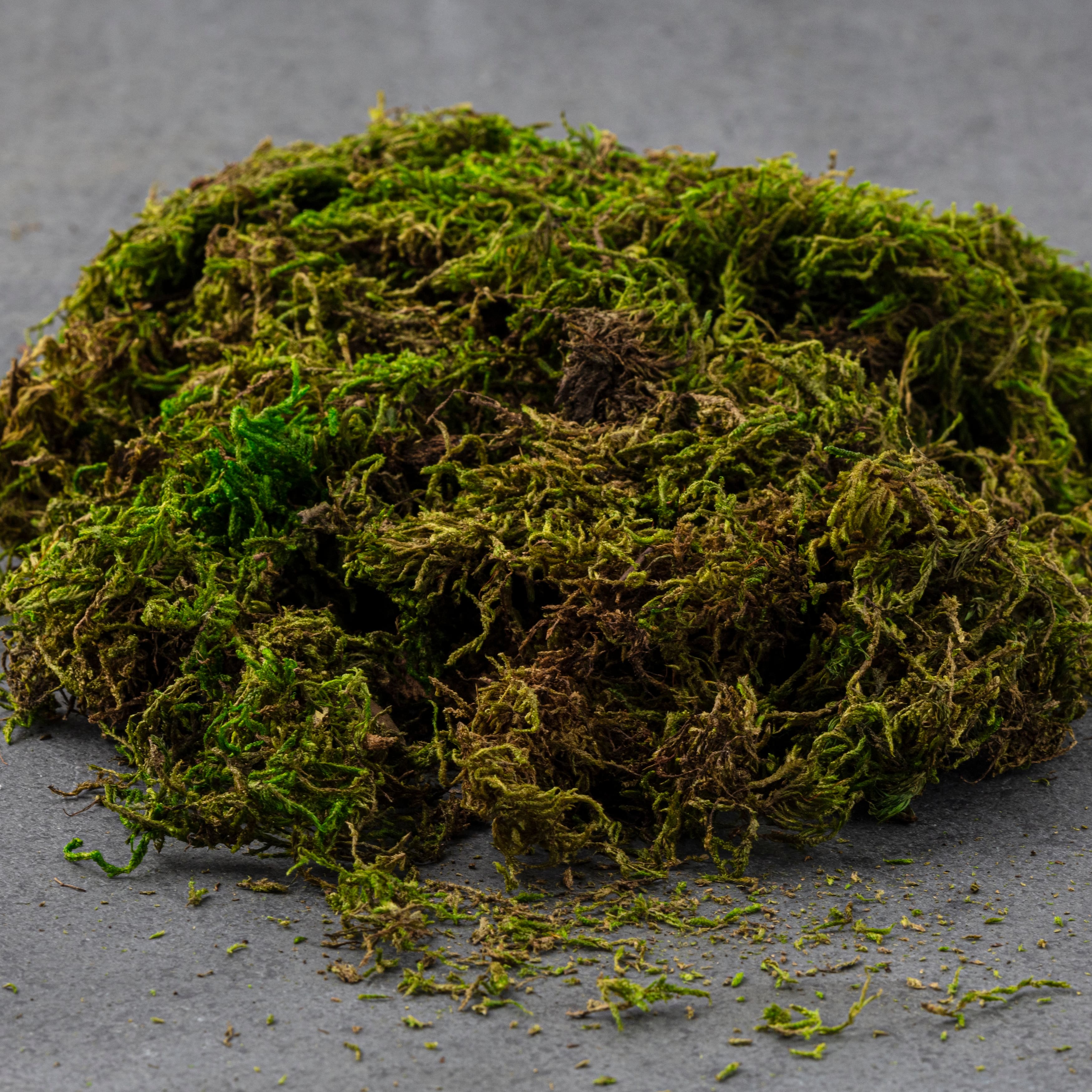 4 Pack: SuperMoss® Preserved Forest Moss