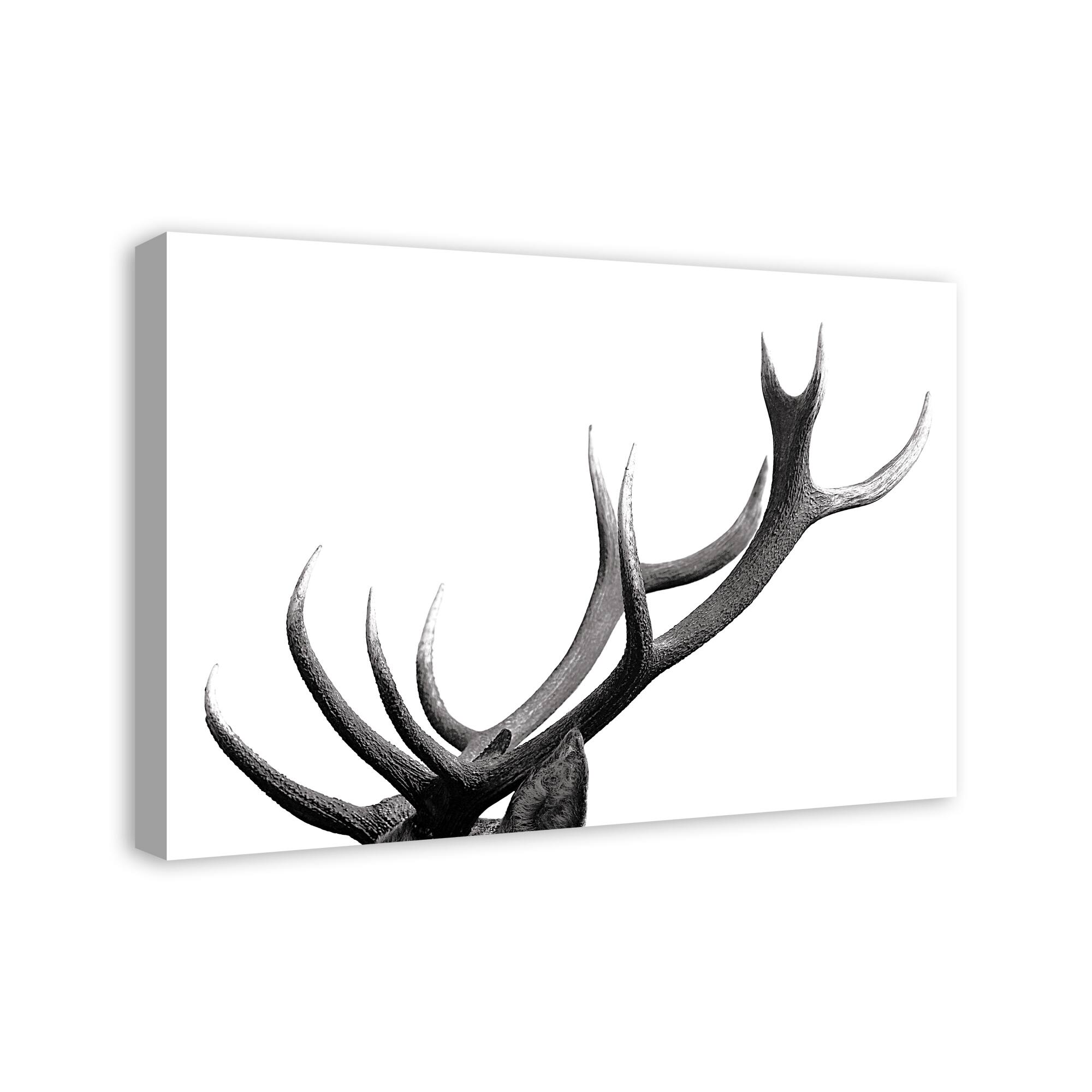 Modern Antlers 20" x 30" Canvas Wall Art