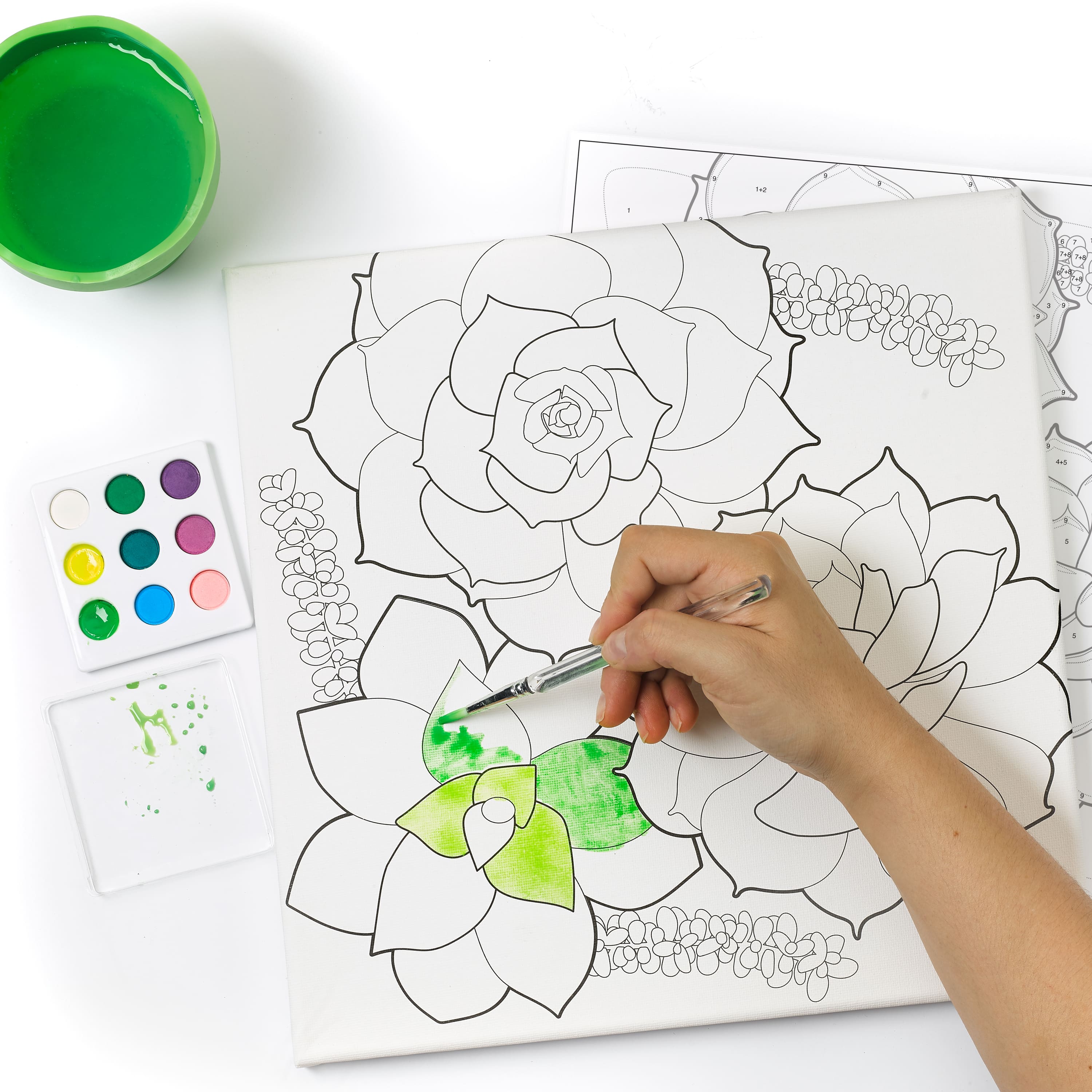 Faber-Castell Succulents Paint by Number Watercolor Set