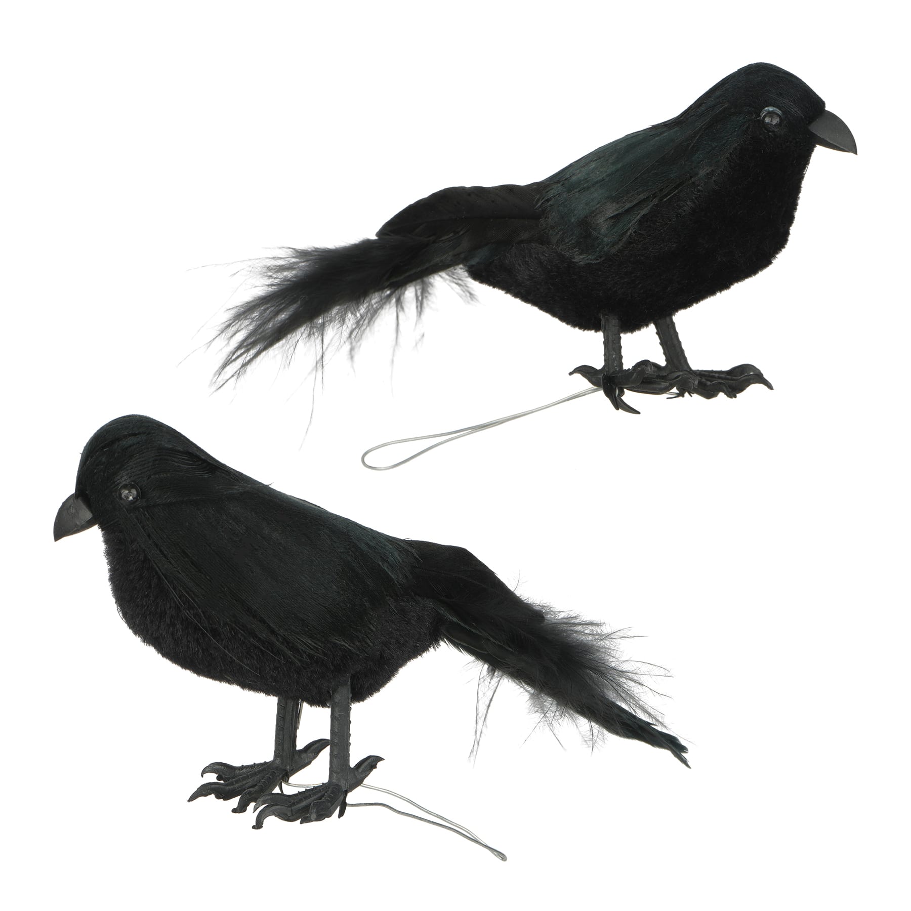 Mini Black Crow Set by Ashland&#xAE;