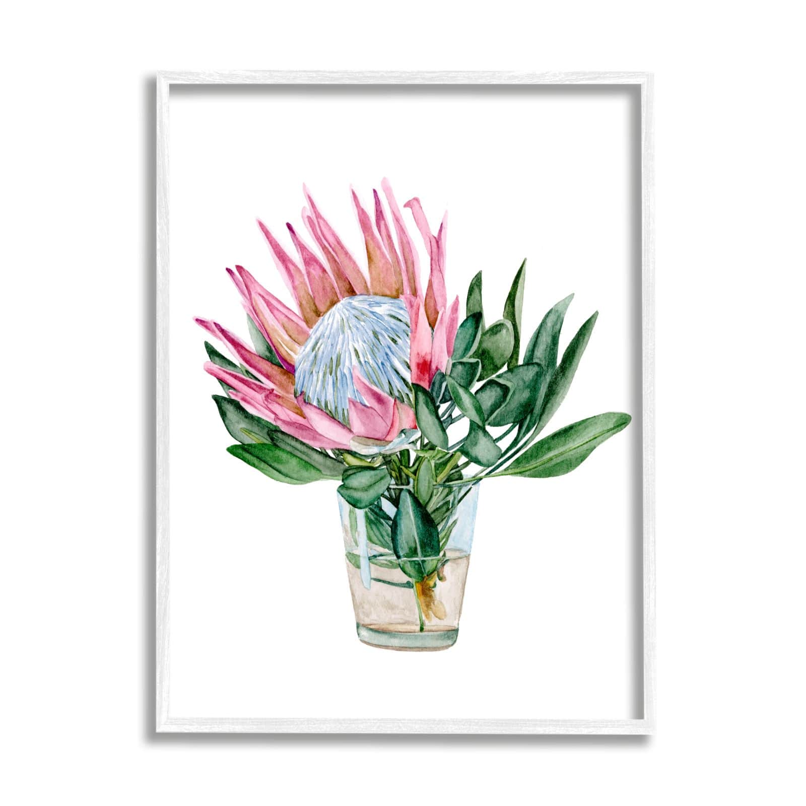 Stupell Industries Blushing Protea Flower Glass Watercolor Flower Still Life Framed Wall Art