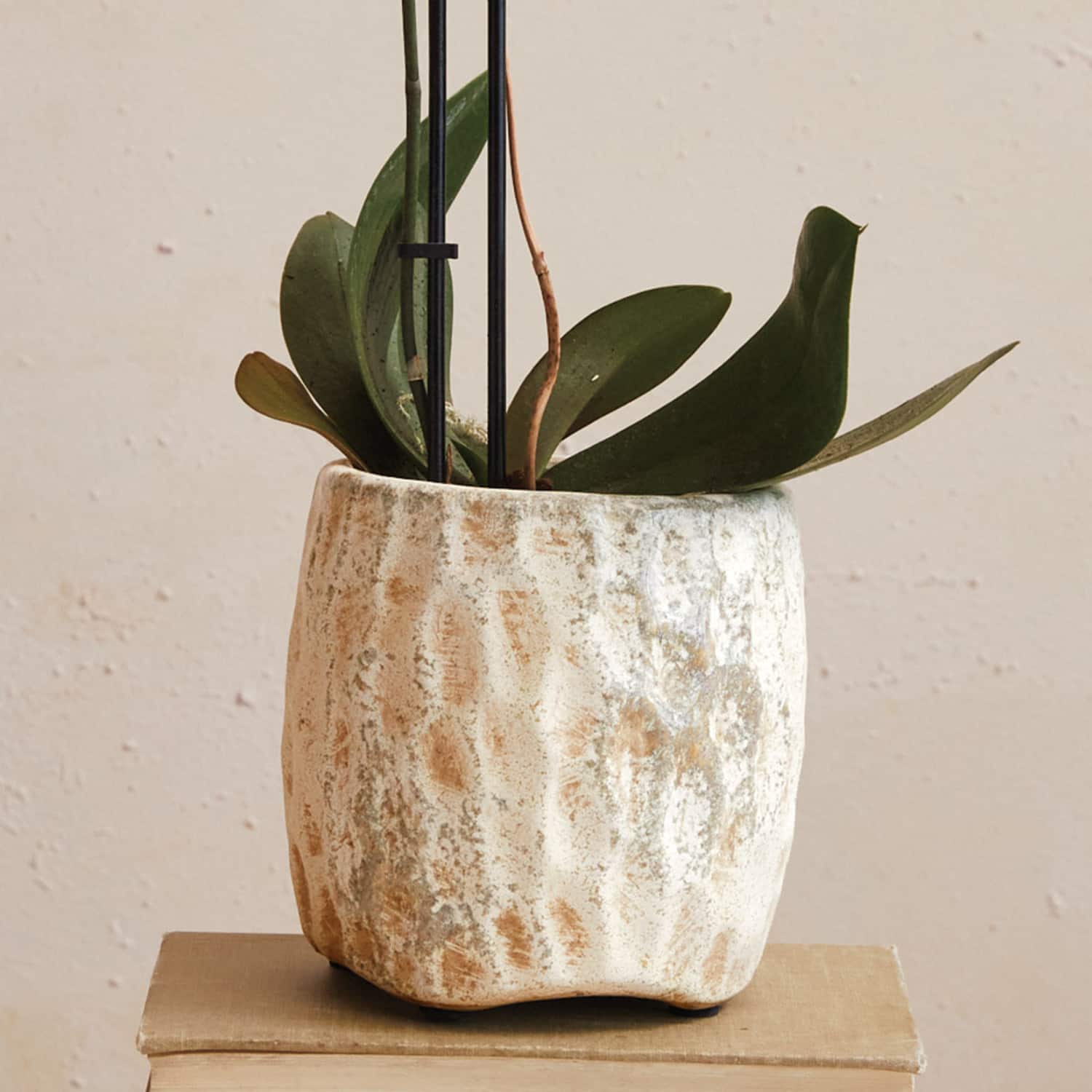 Hello Honey® 5.5" Cream Reactive Glaze Terra Cotta Planter