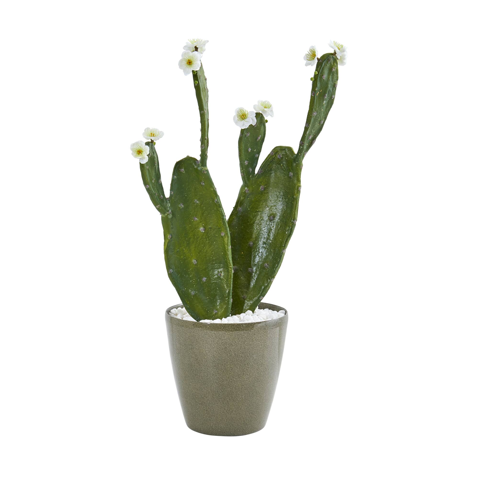 2ft. Flowering Cactus in Green Planter