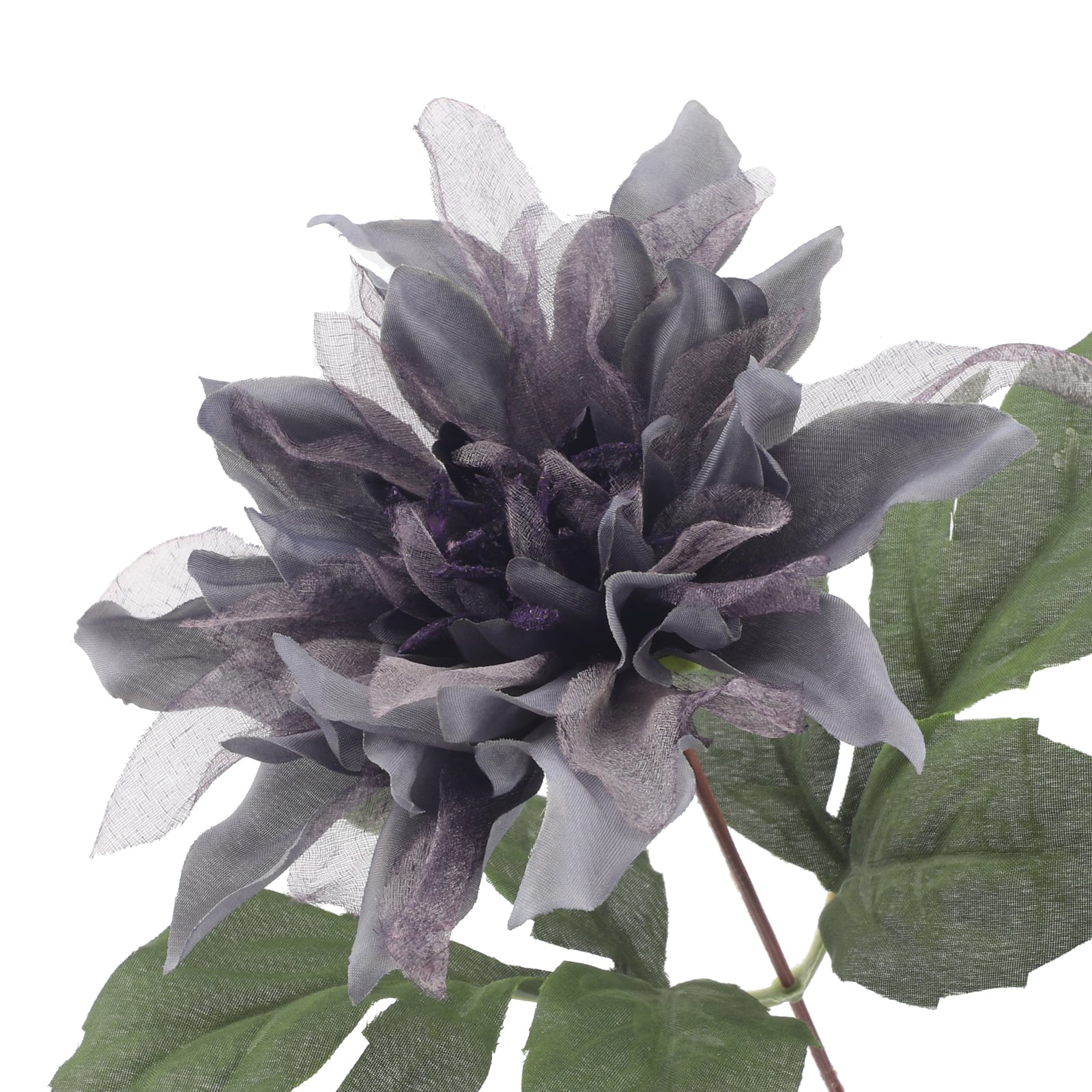 17&#x22; Dark Gray Halloween Dahlia Bush by Ashland&#xAE;