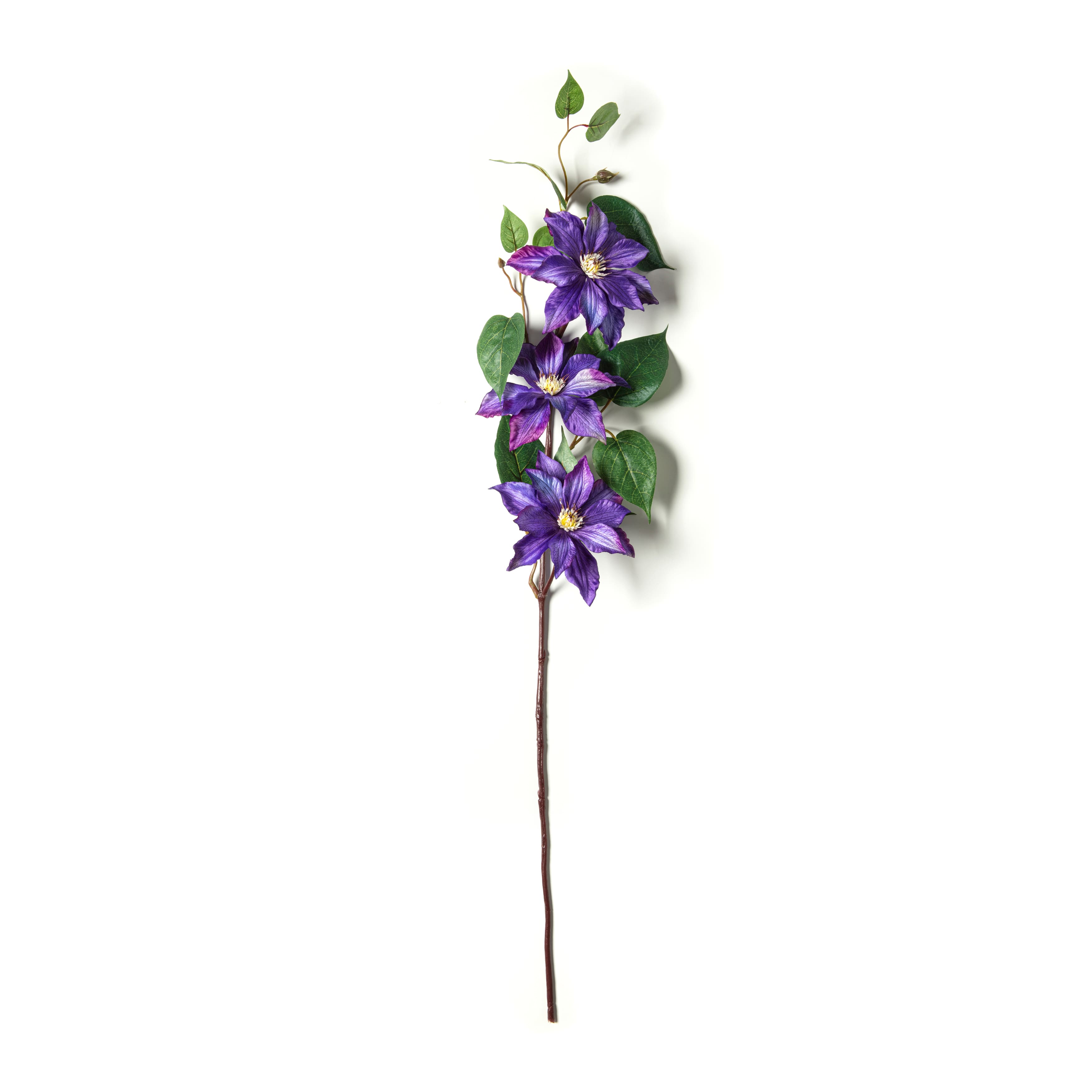 Purple Tropical Clematis Stem by Ashland®