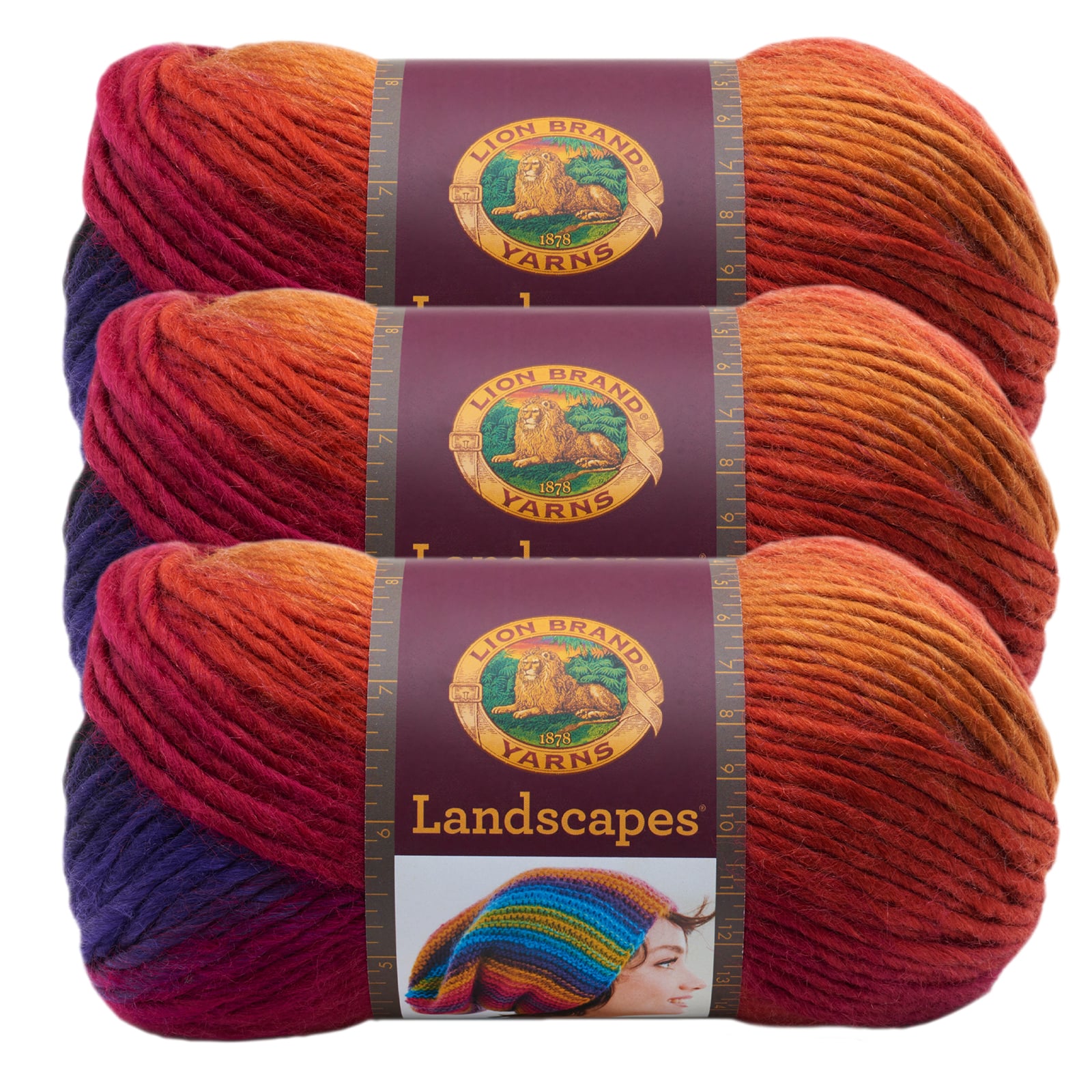 Lion Brand Yarn Landscapes, Self Striping Bright Roving Yarn
