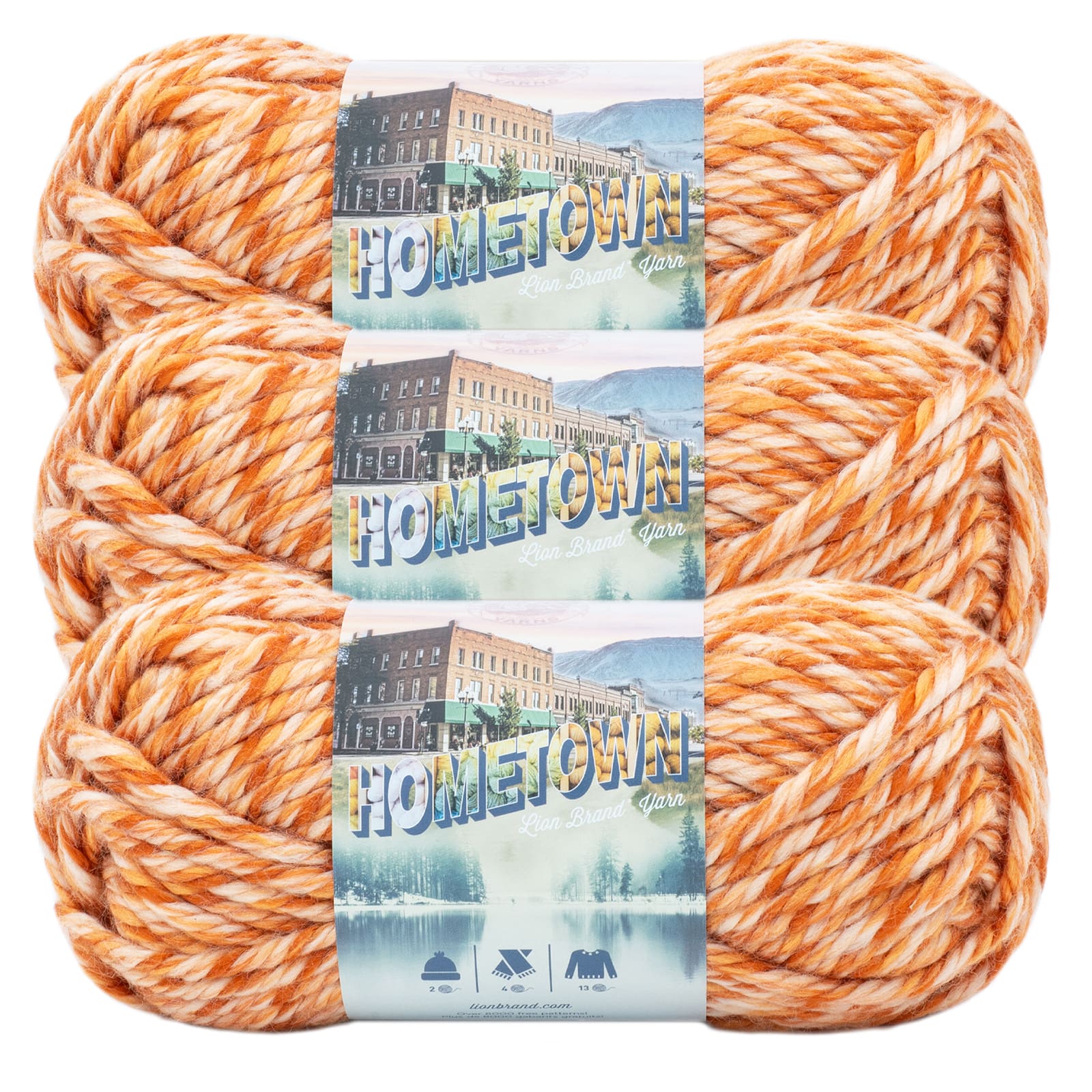 3 Pack Lion Brand® Hometown Variegates Yarn