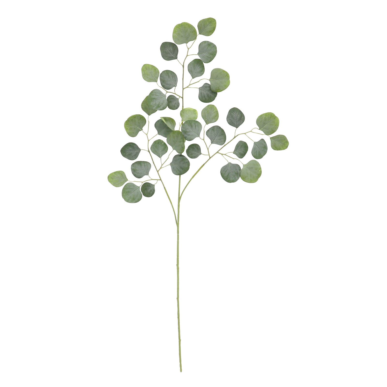 35.5&#x22; Light Green Round Eucalyptus Stem by Ashland&#xAE;
