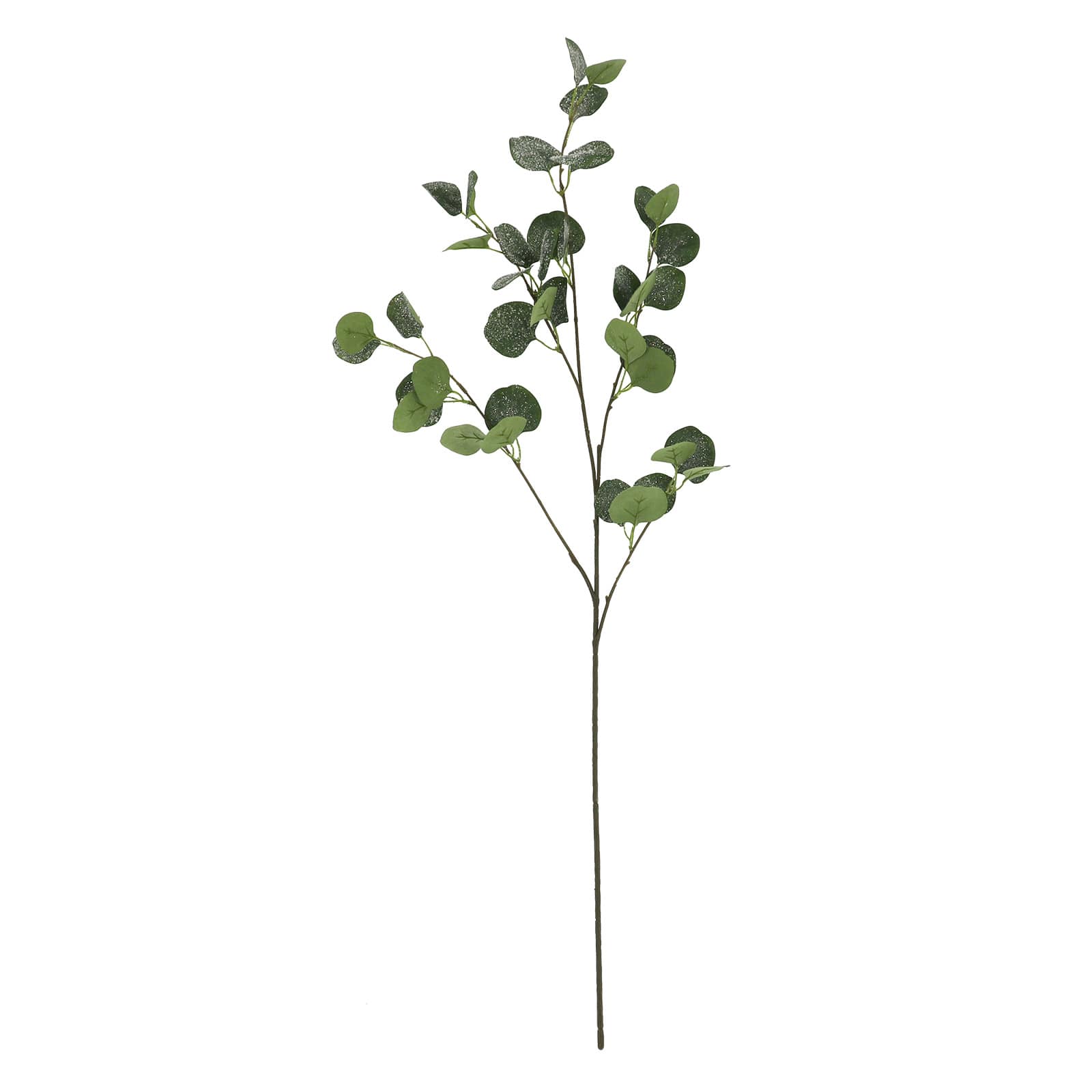 39&#x22; Snowy Eucalyptus Stem by Ashland&#xAE;