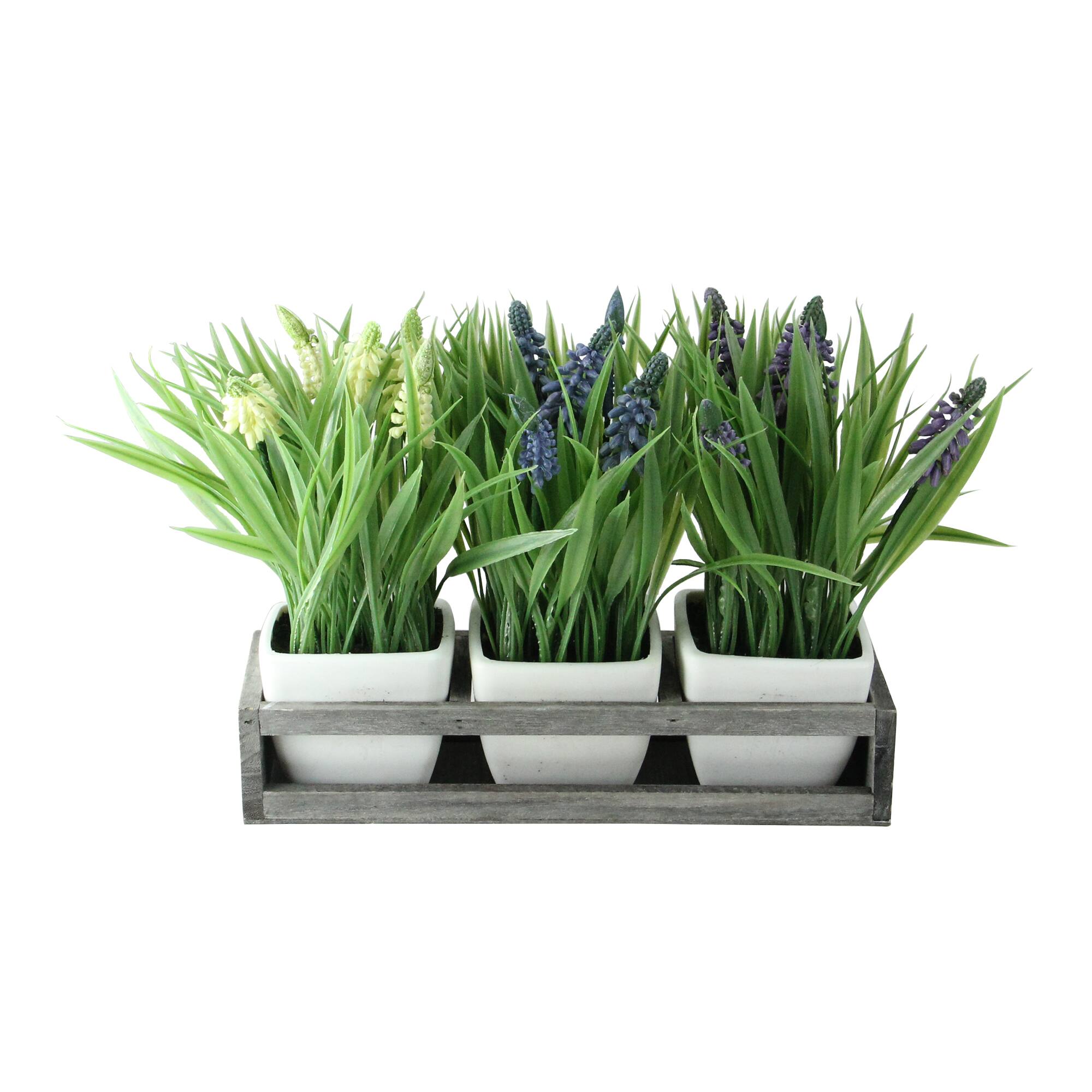 9.5" Lavender in White Pots with Wood Tray