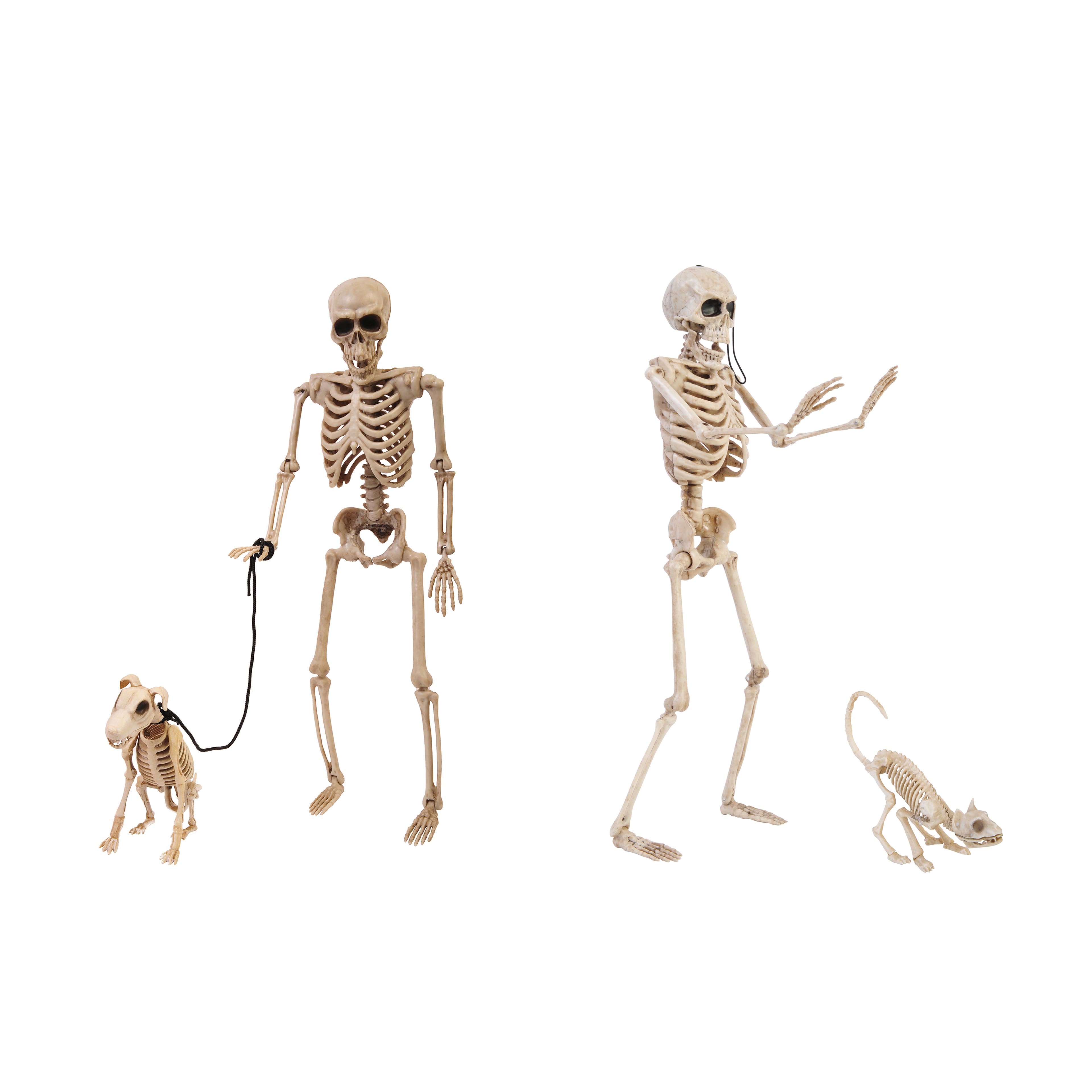 Assorted 15" Skeleton Pet Walker by Ashland®, 1pc.
