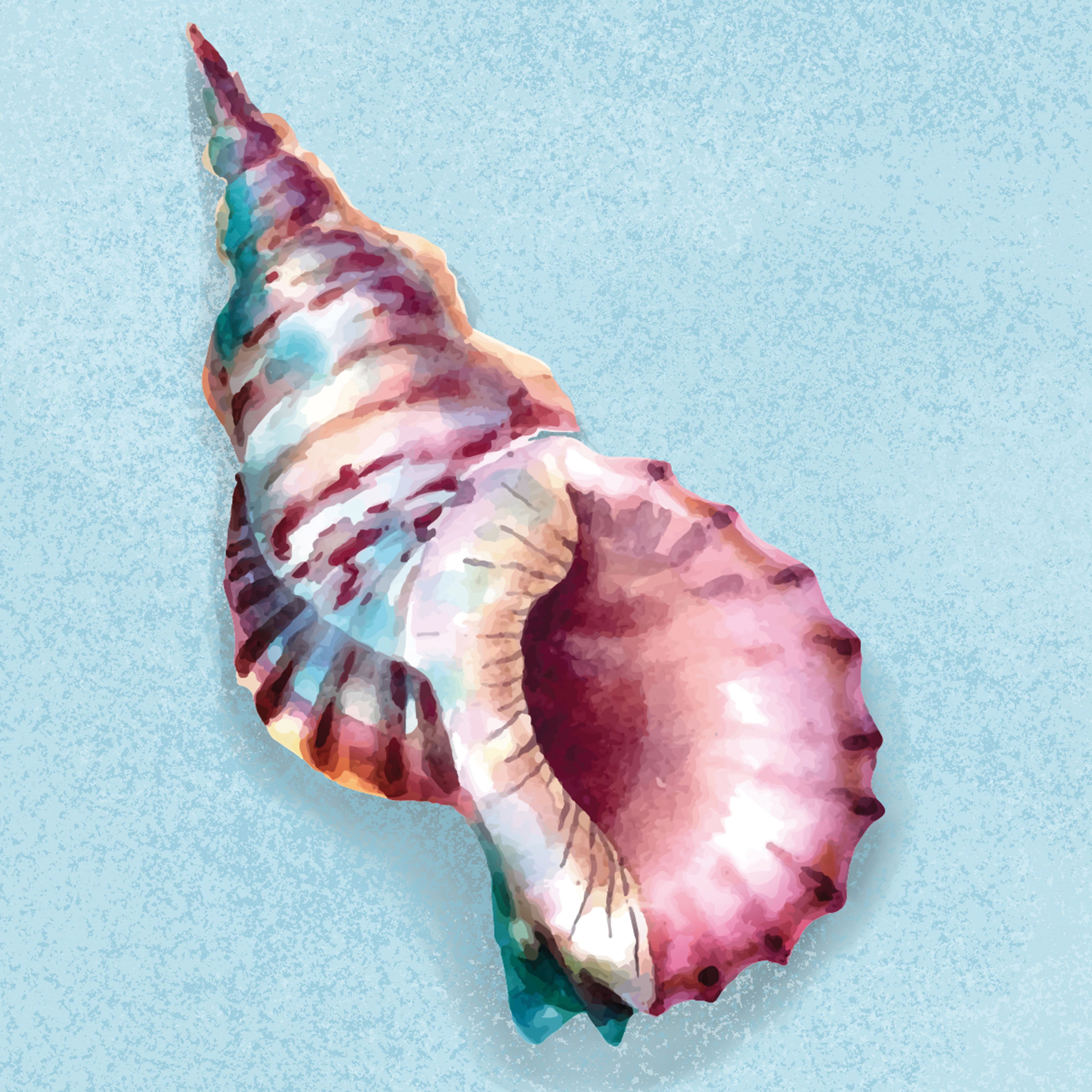 4&#x22; x 4&#x22; Seashell Canvas Painting Kit by Craft Smart&#xAE;