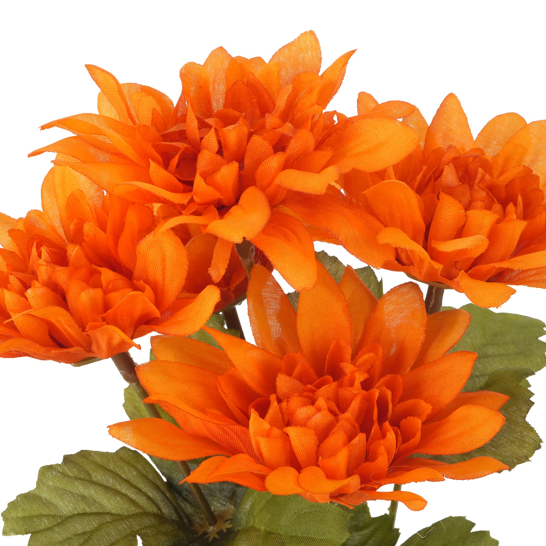 12&#x22; Dahlia Bush by Ashland&#xAE;