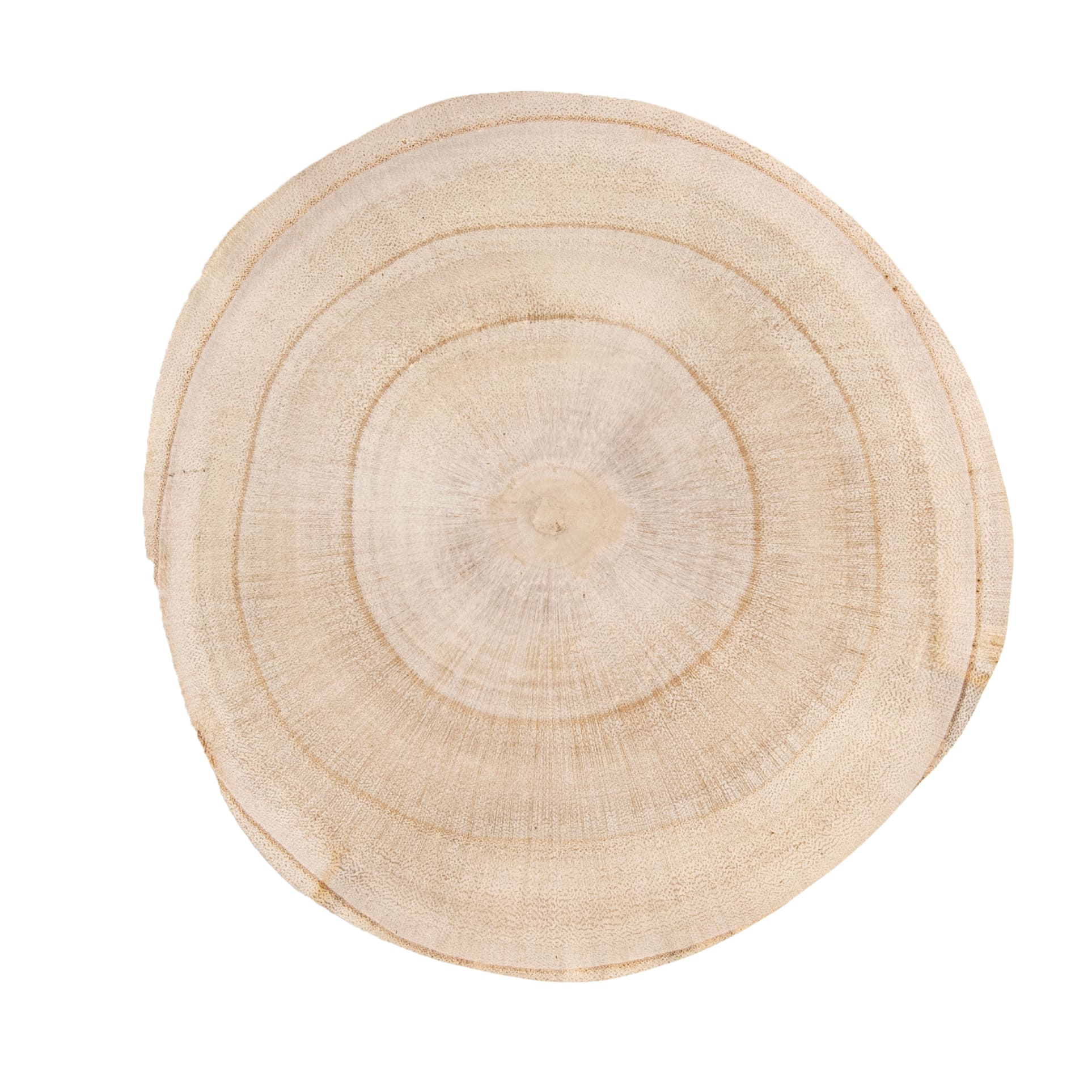 Hello Honey® Decorative Paulownia Wood Pedestal