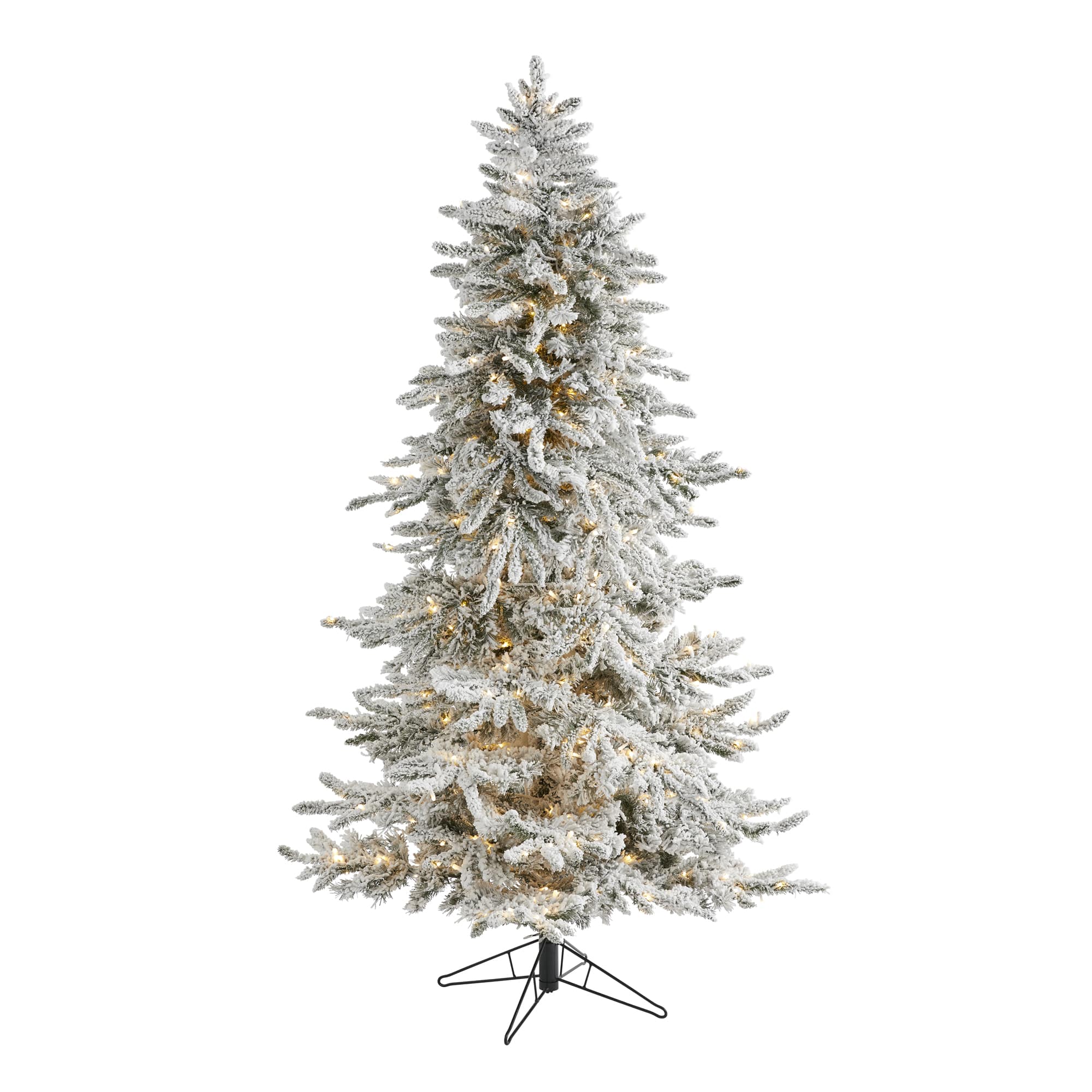 6.5ft. Pre-Lit Flocked Grand Northern Rocky Fir Artificial Christmas Tree, Warm Micro LED Lights