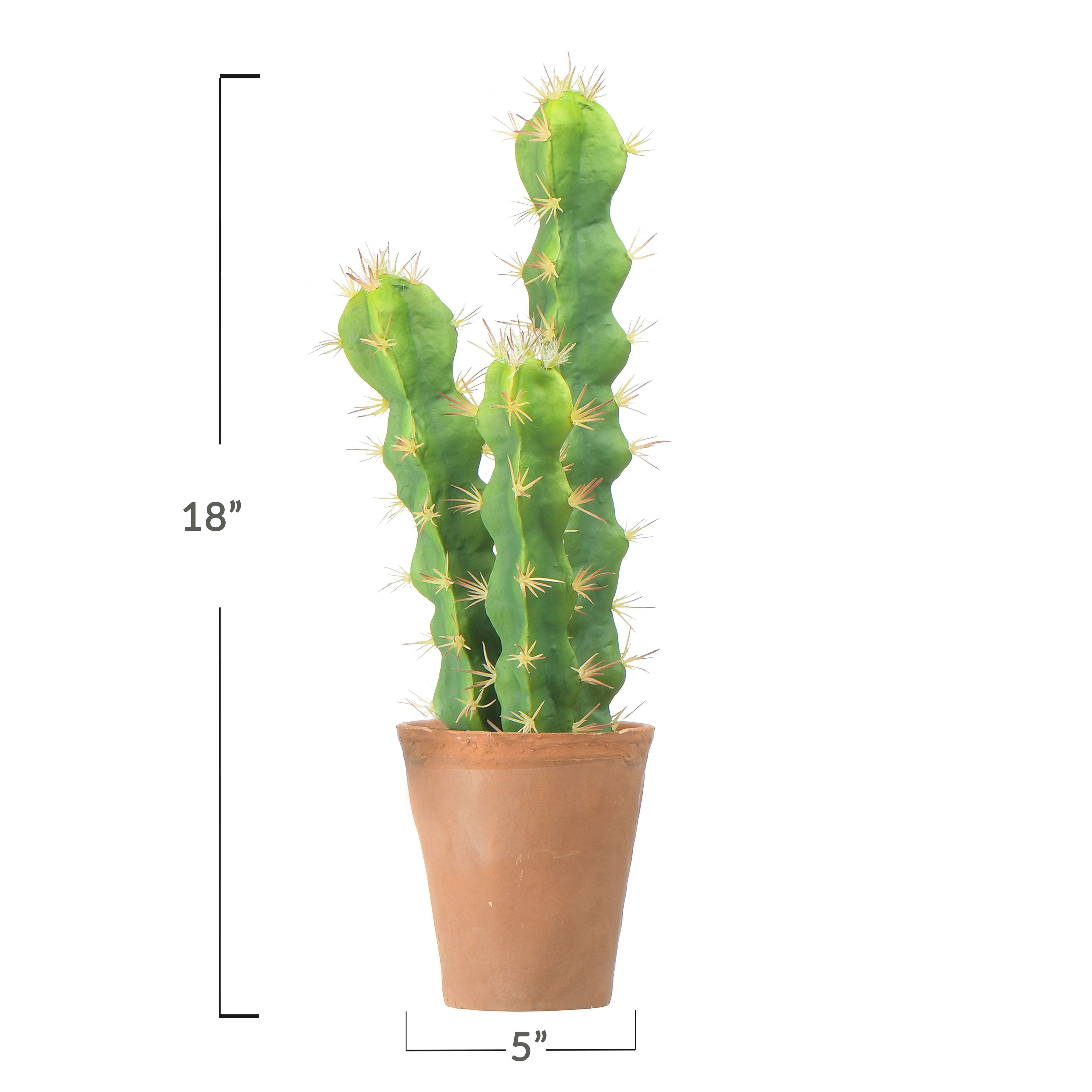 18&#x22; Cereus Cactus in Terra Cotta Colored Pot