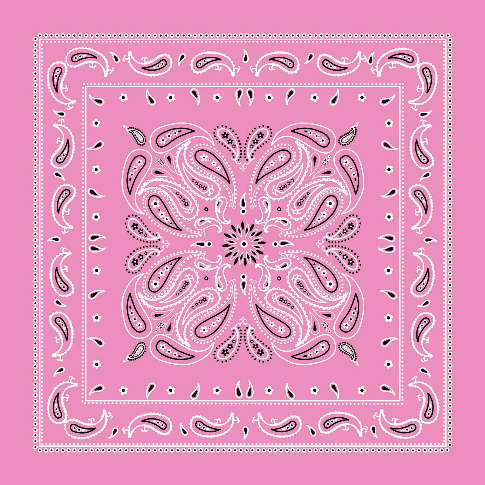 Paisley Bandana by Make Market®