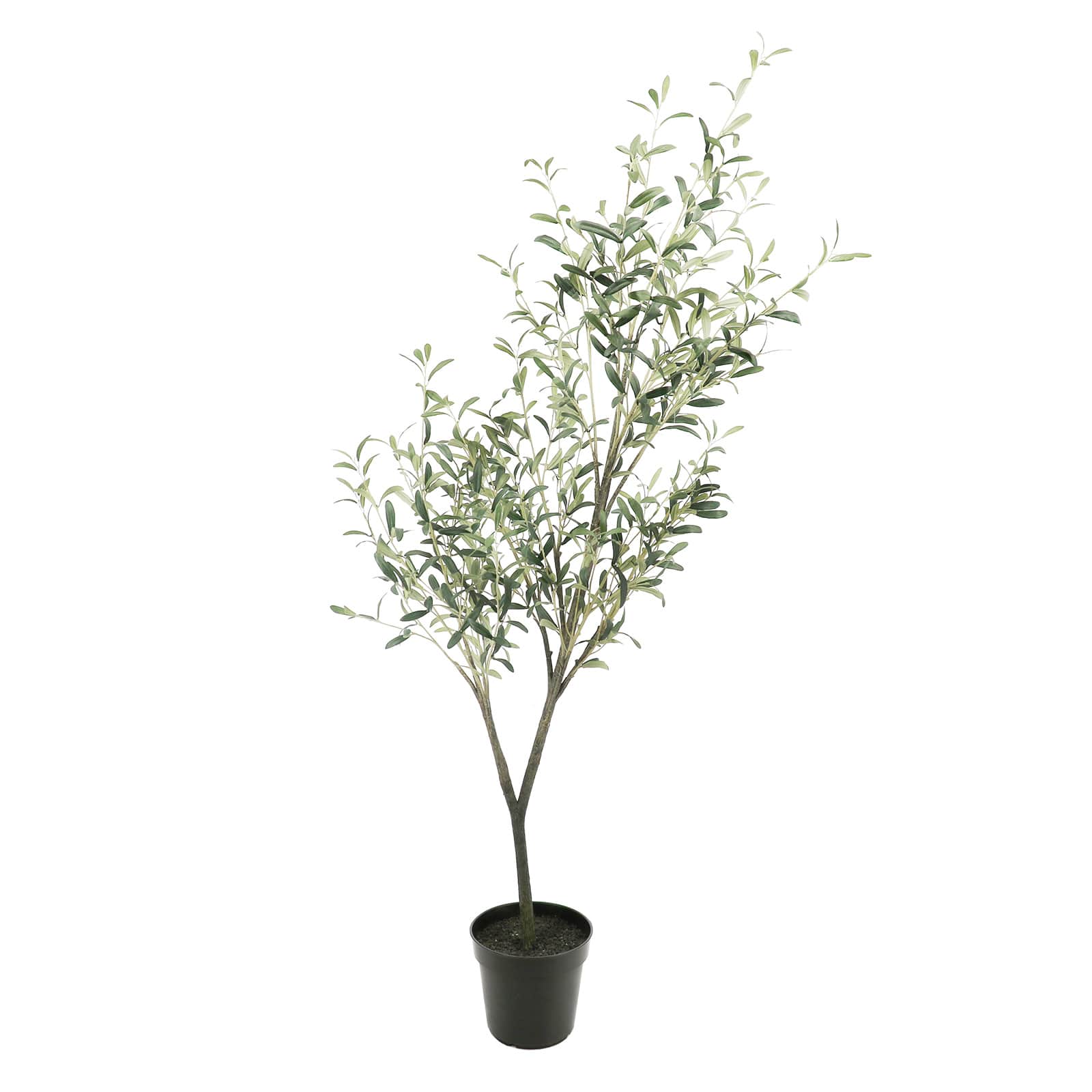 6ft. Potted Green Olive Leaf Tree by Ashland&#xAE;