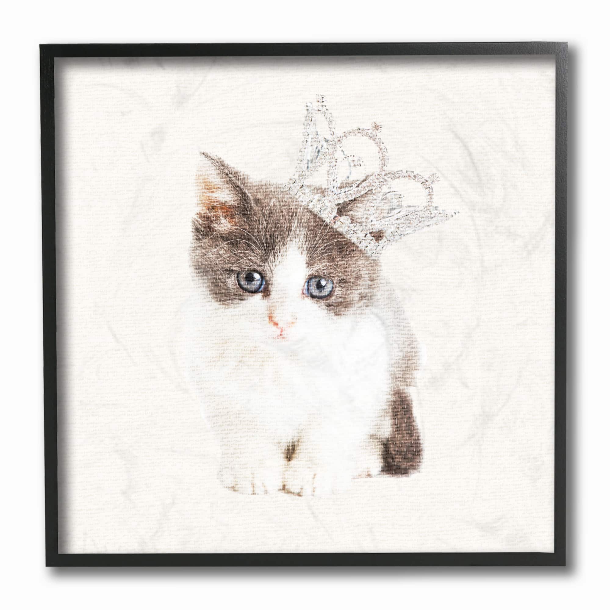 Stupell Industries Kitten Royalty, 12&#x22; x 12&#x22;