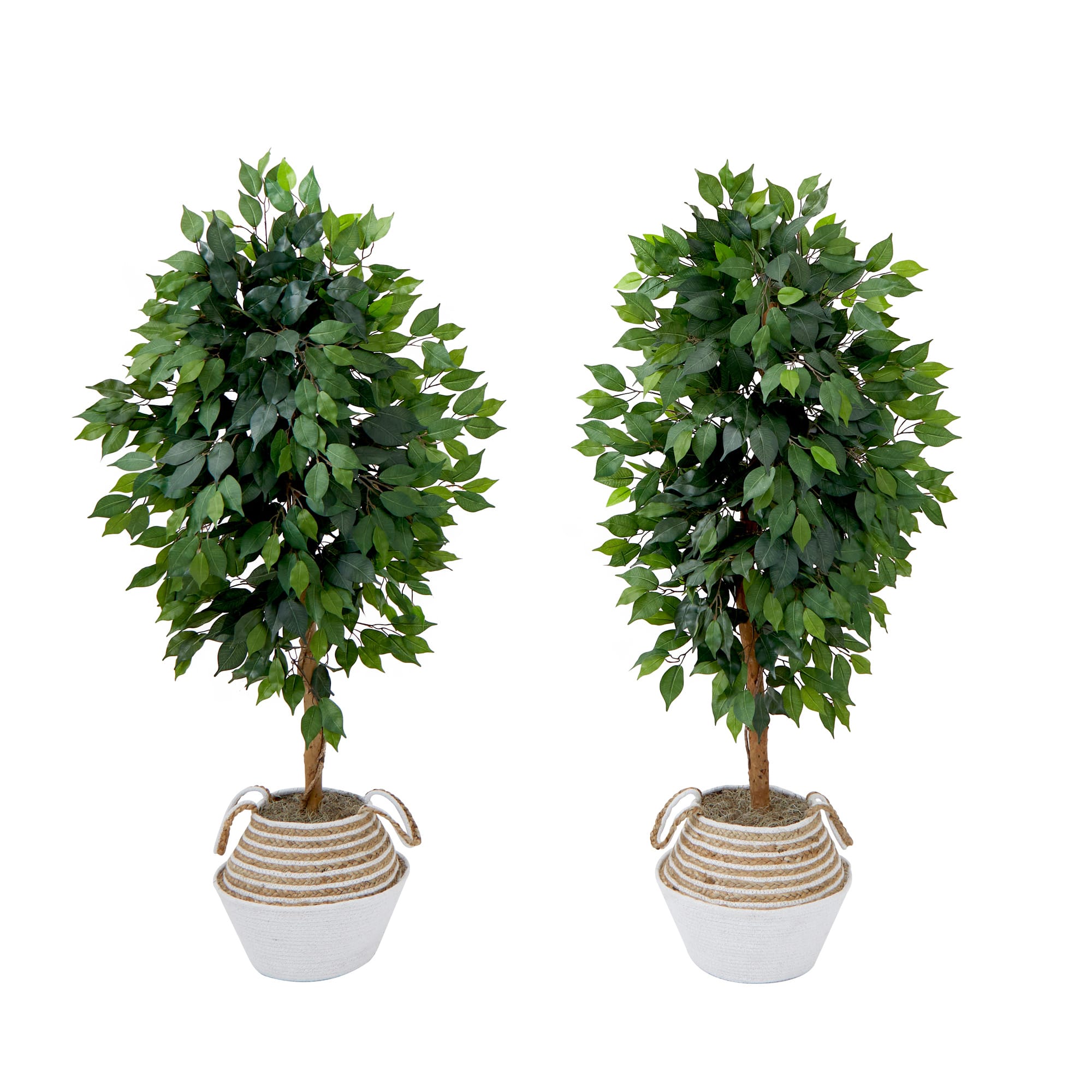 4.5ft. Artificial Ficus Tree with Double Trunk in Handmade Cotton &#x26; Jute Basket Set