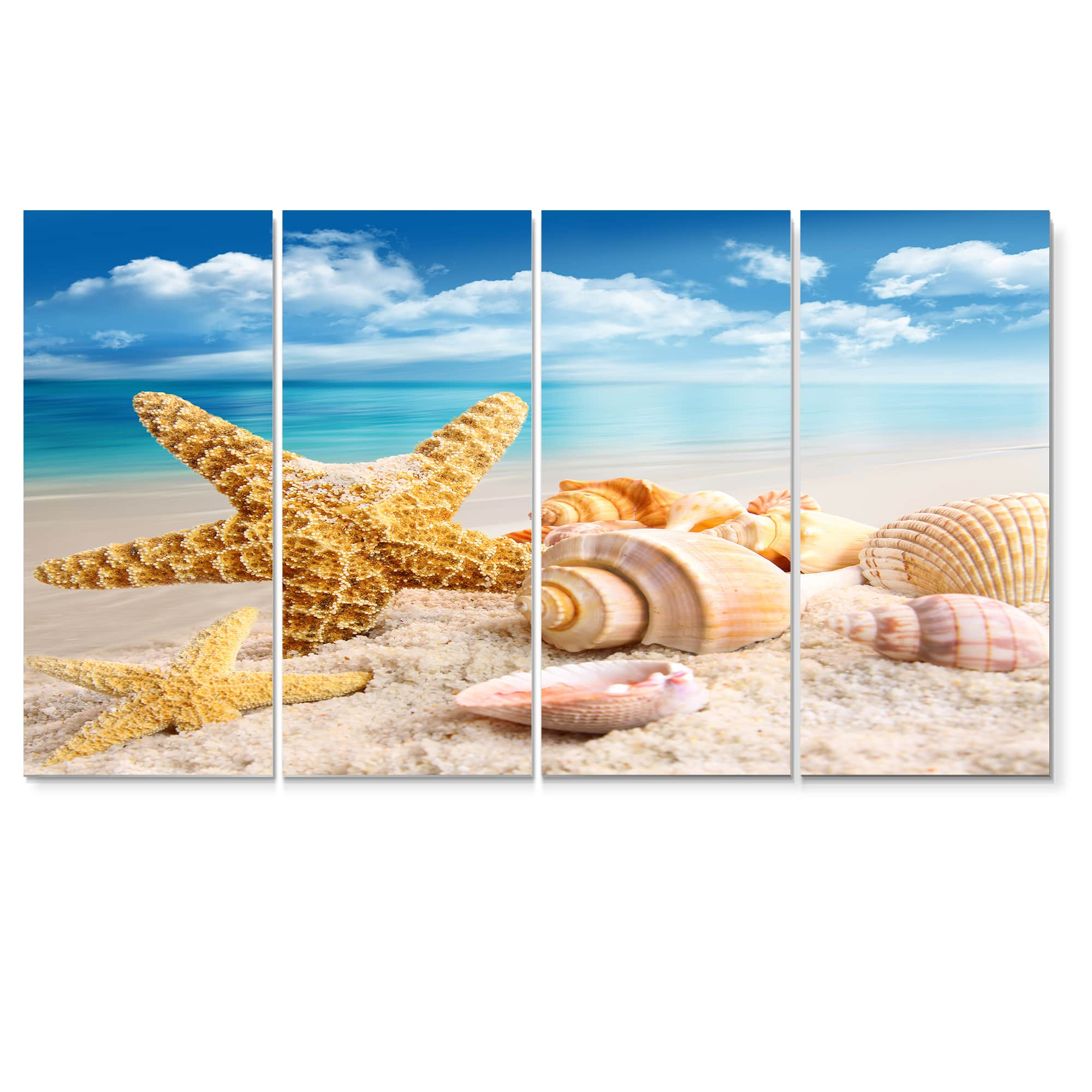 Seashells On Sand Waves Wall Art: Canvas Prints, Art Prints