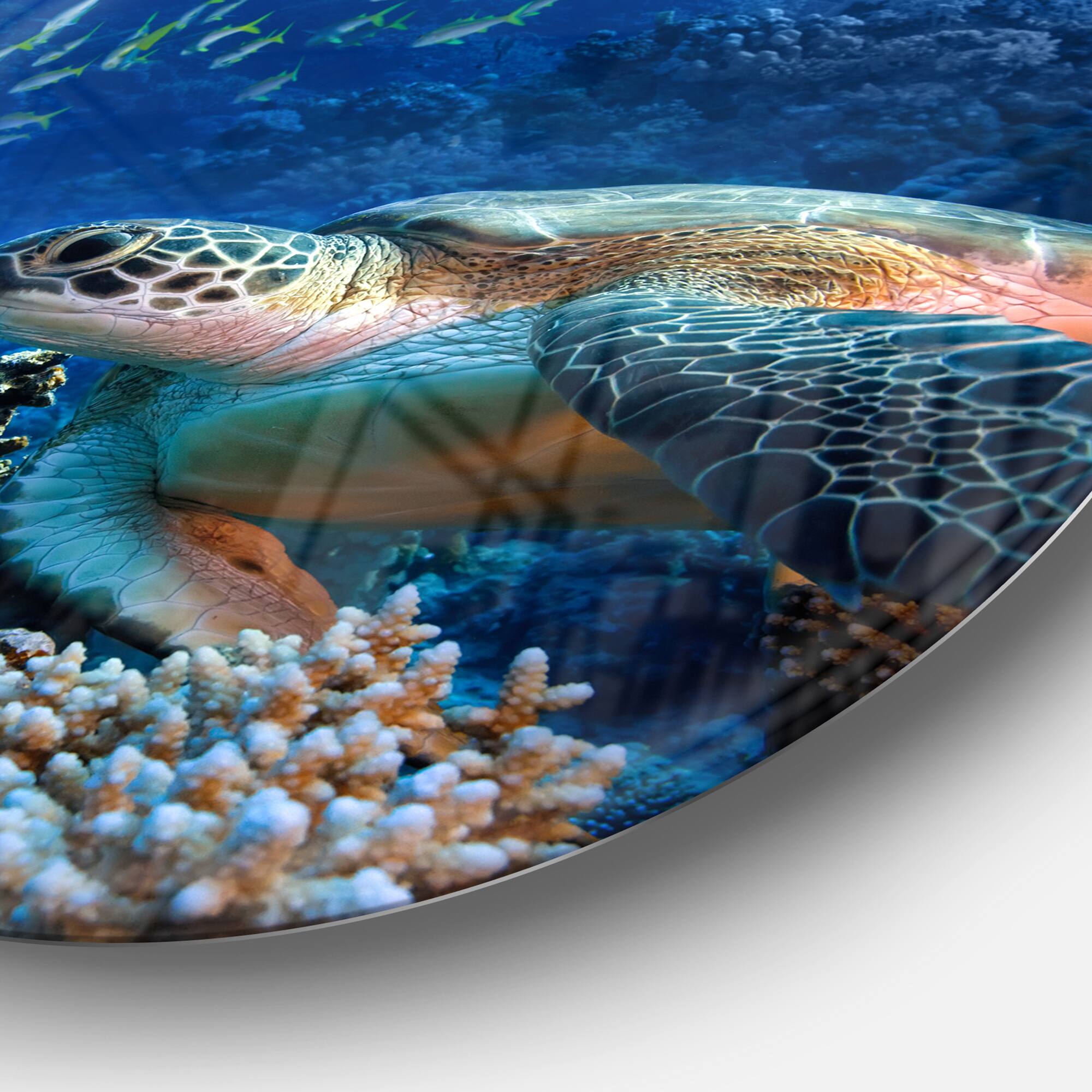 Designart - Large Sea Turtle underwater&#x27; Ultra Vibrant Abstract Metal Circle Wall Art