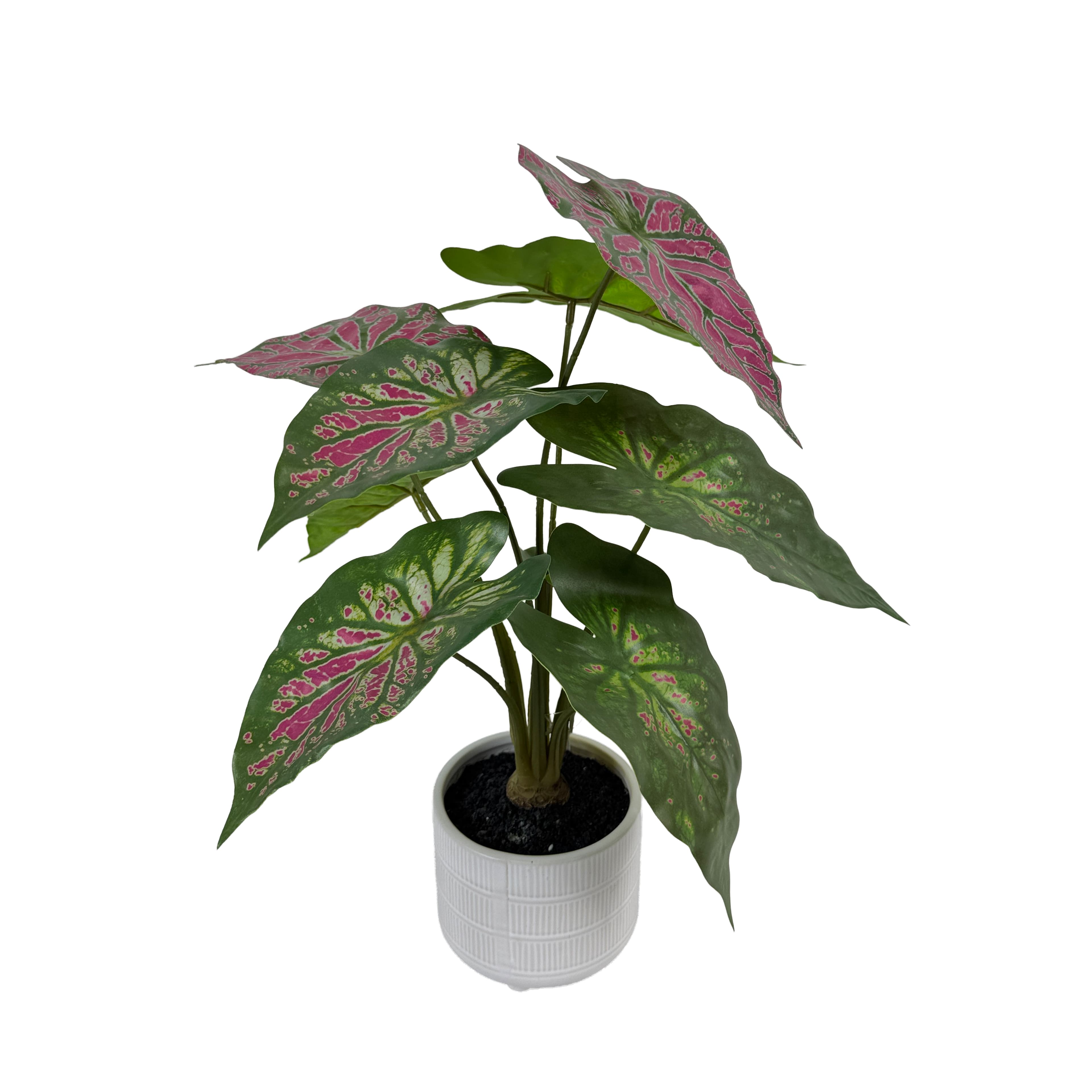 16&#x22; Caladium in White Ceramic Pot by Ashland&#xAE;