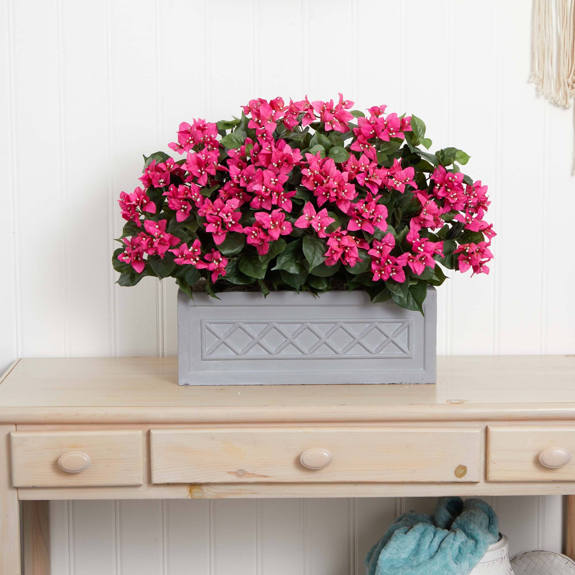2.5ft. Pink Bougainvillea in Stone Planter