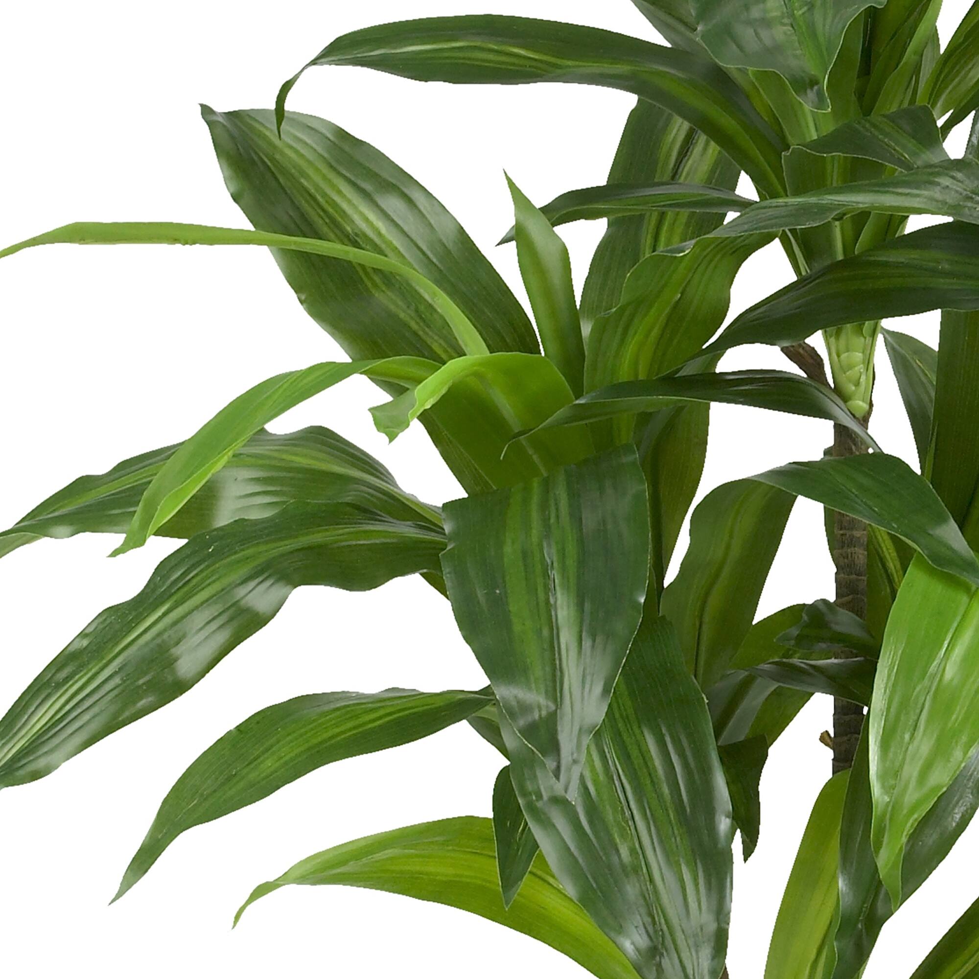 4ft. Dracaena Silk Plant Michaels