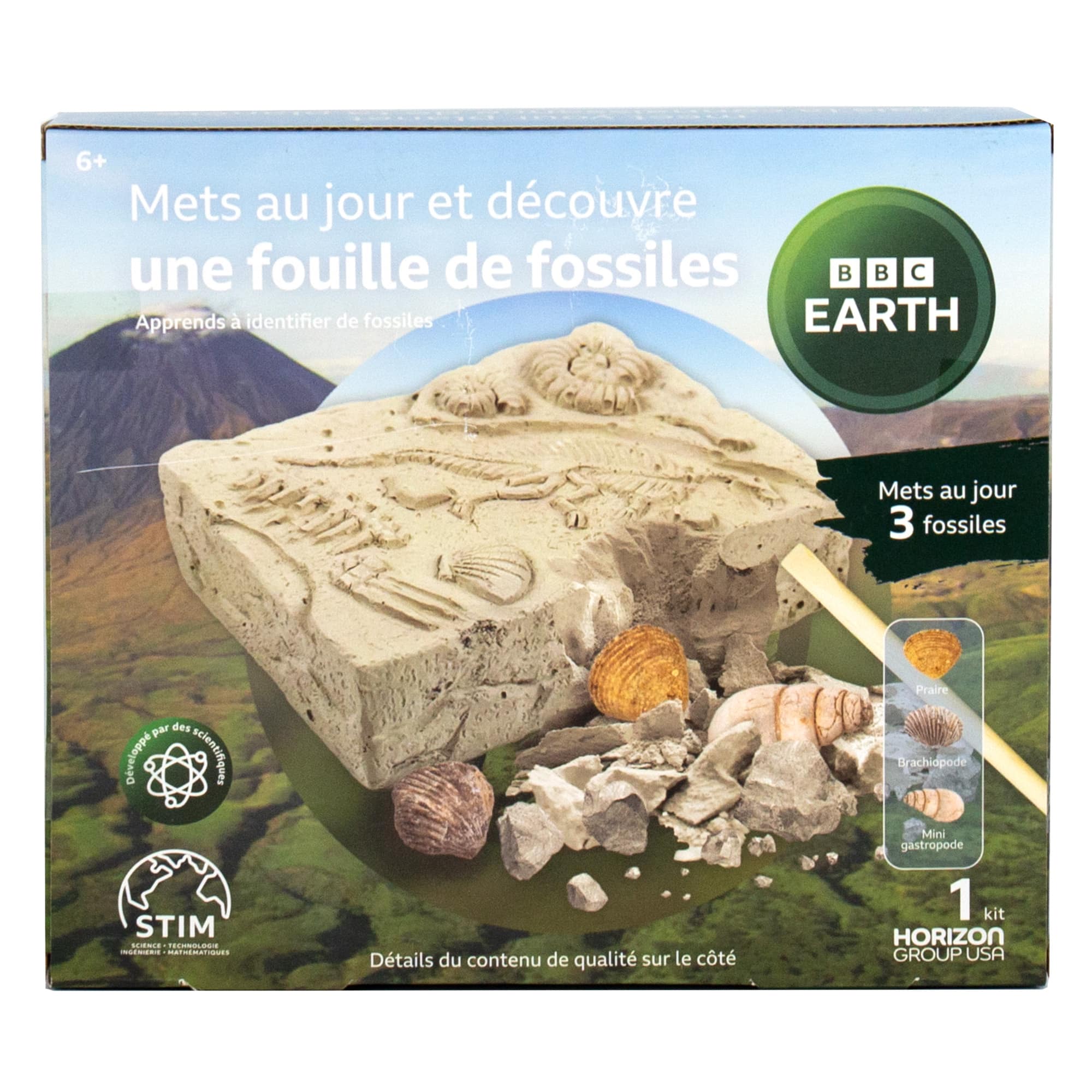 BBC Earth Excavate &#x26; Discover Fossil Dig