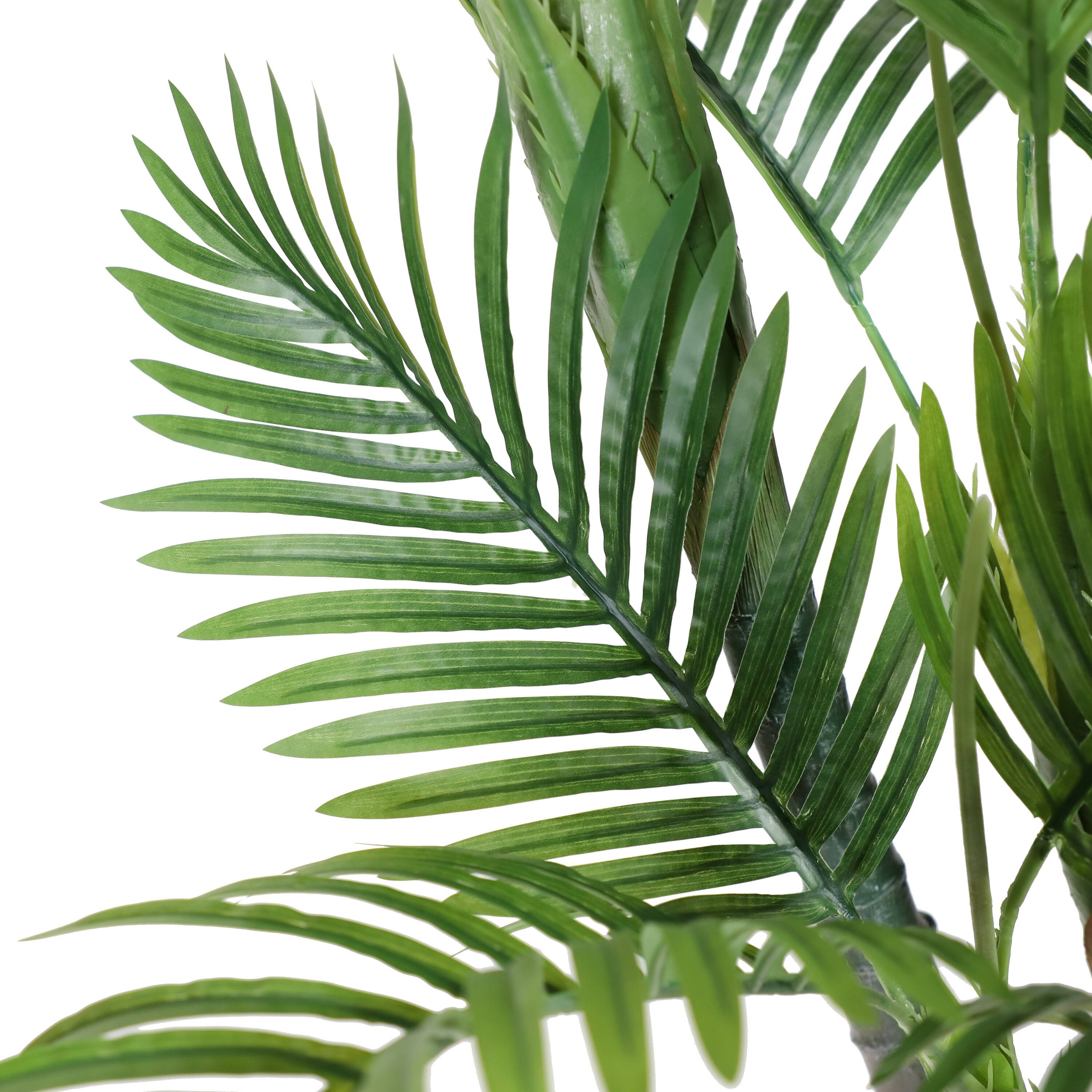 6 Pack: 5ft. Potted Areca Palm Tree