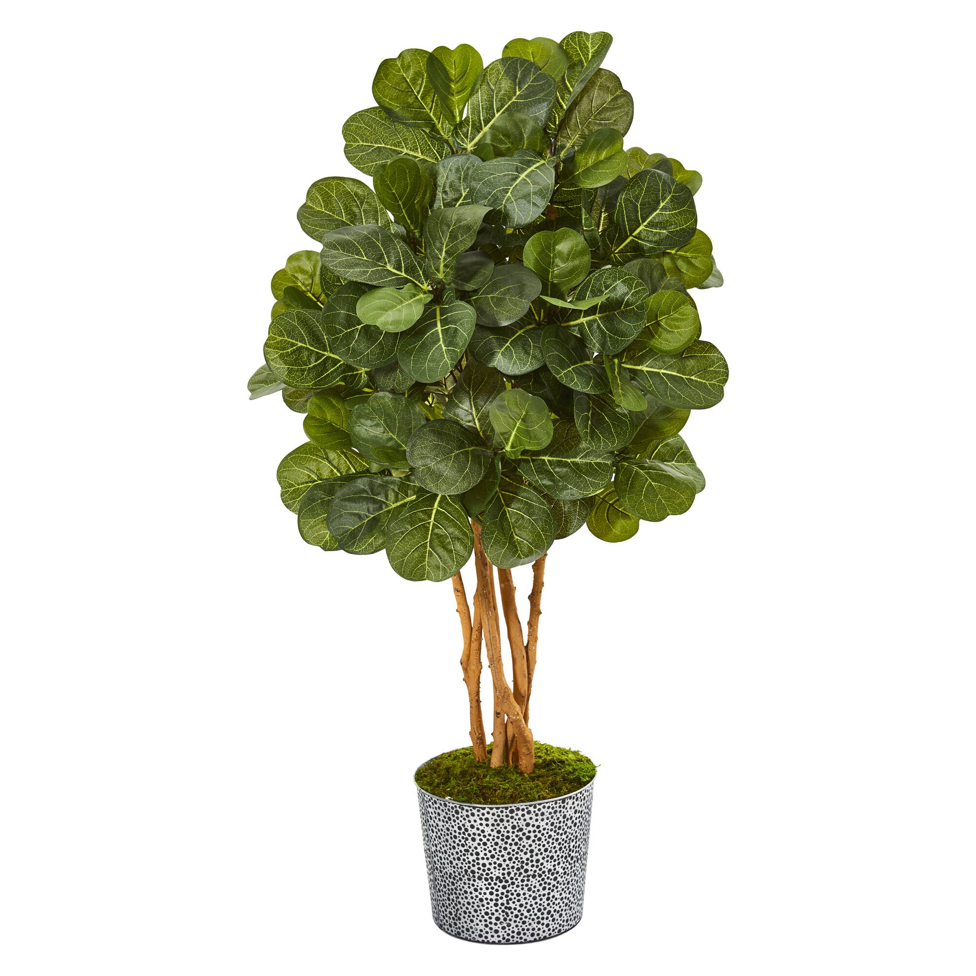 4ft. Fiddle Leaf Fig Tree in Black Patterned Tin Planter