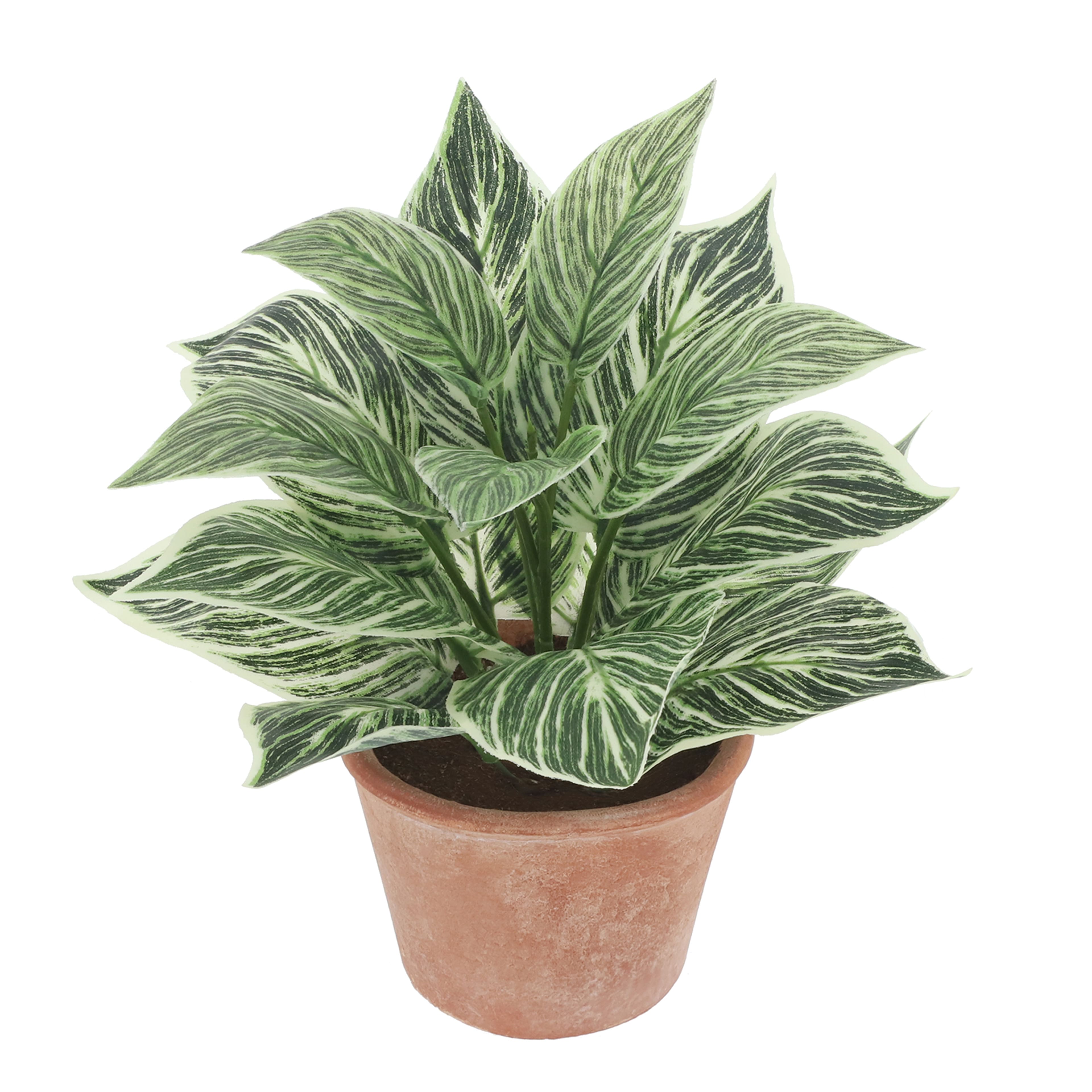 9&#x22; Potted Birkin by Ashland&#xAE;