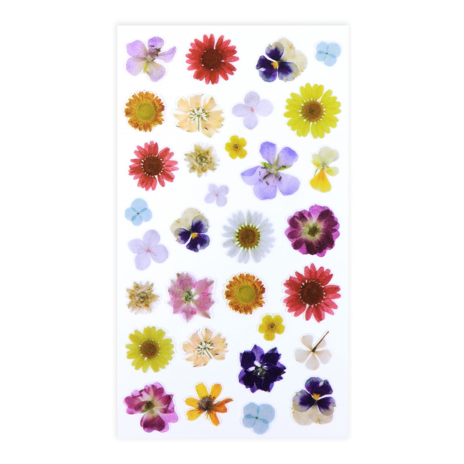 Recollections Dried Flower Stickers - Each