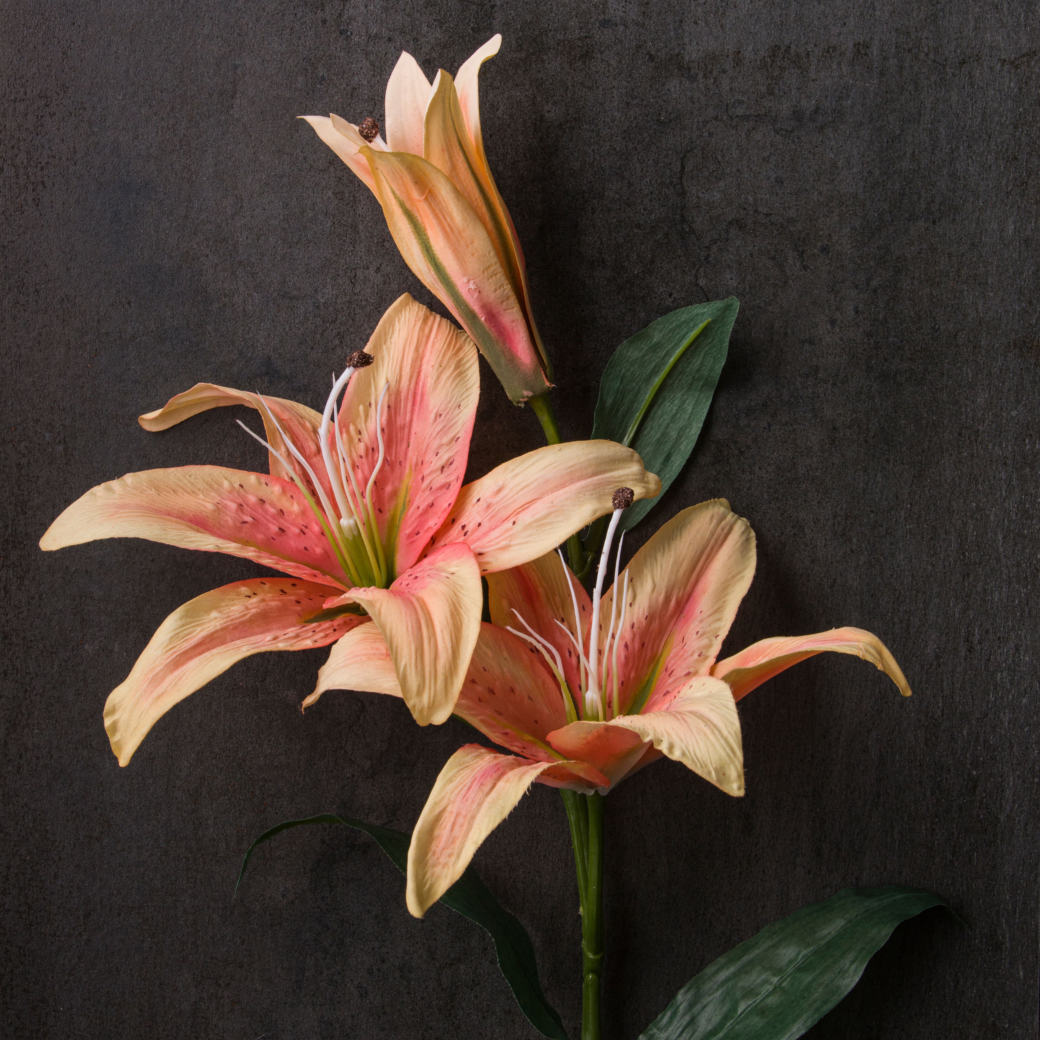 Casablanca Lily Stem by Ashland&#xAE;